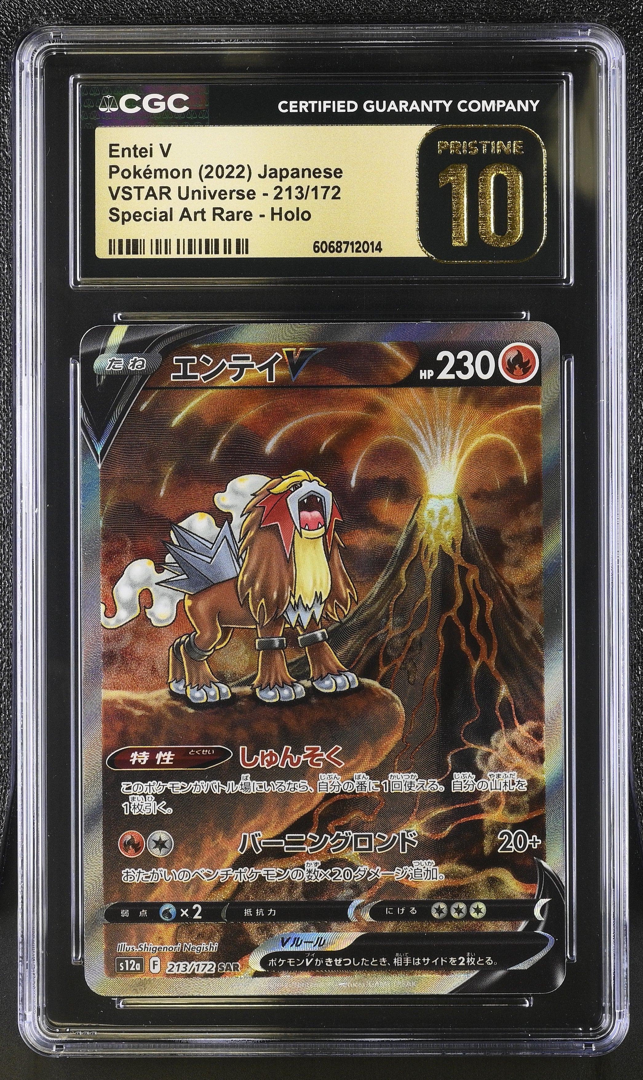 Entei V Vstar Universe 213/172 Special Art Rare Pokemon Japanese CGC 10 Pristine