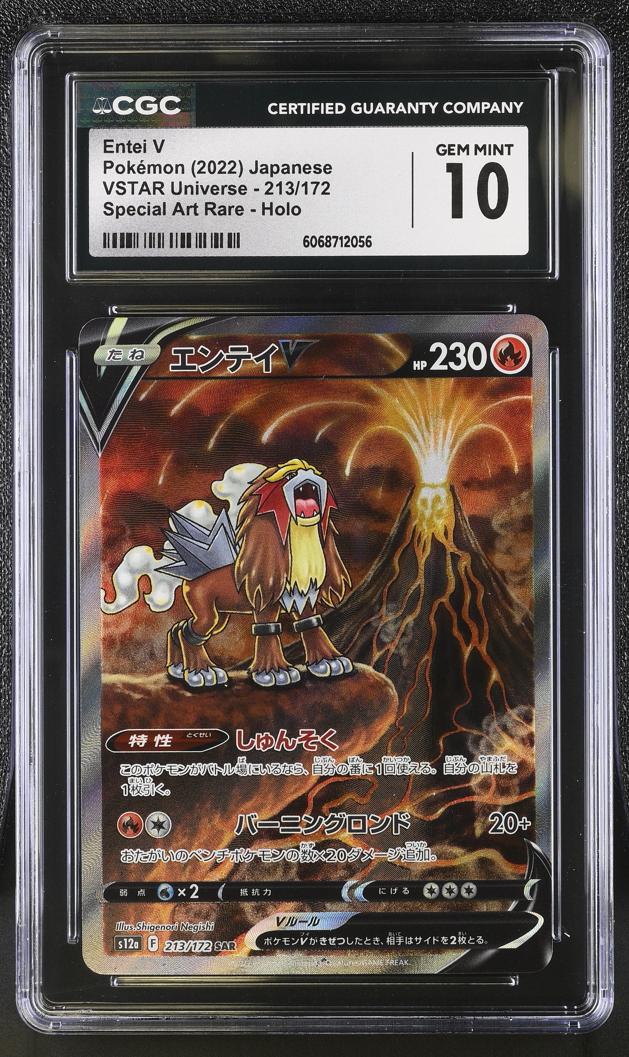 Entei V 213/172 Special Art Rare Holo Pokemon Japanese CGC 10 Gem Mint