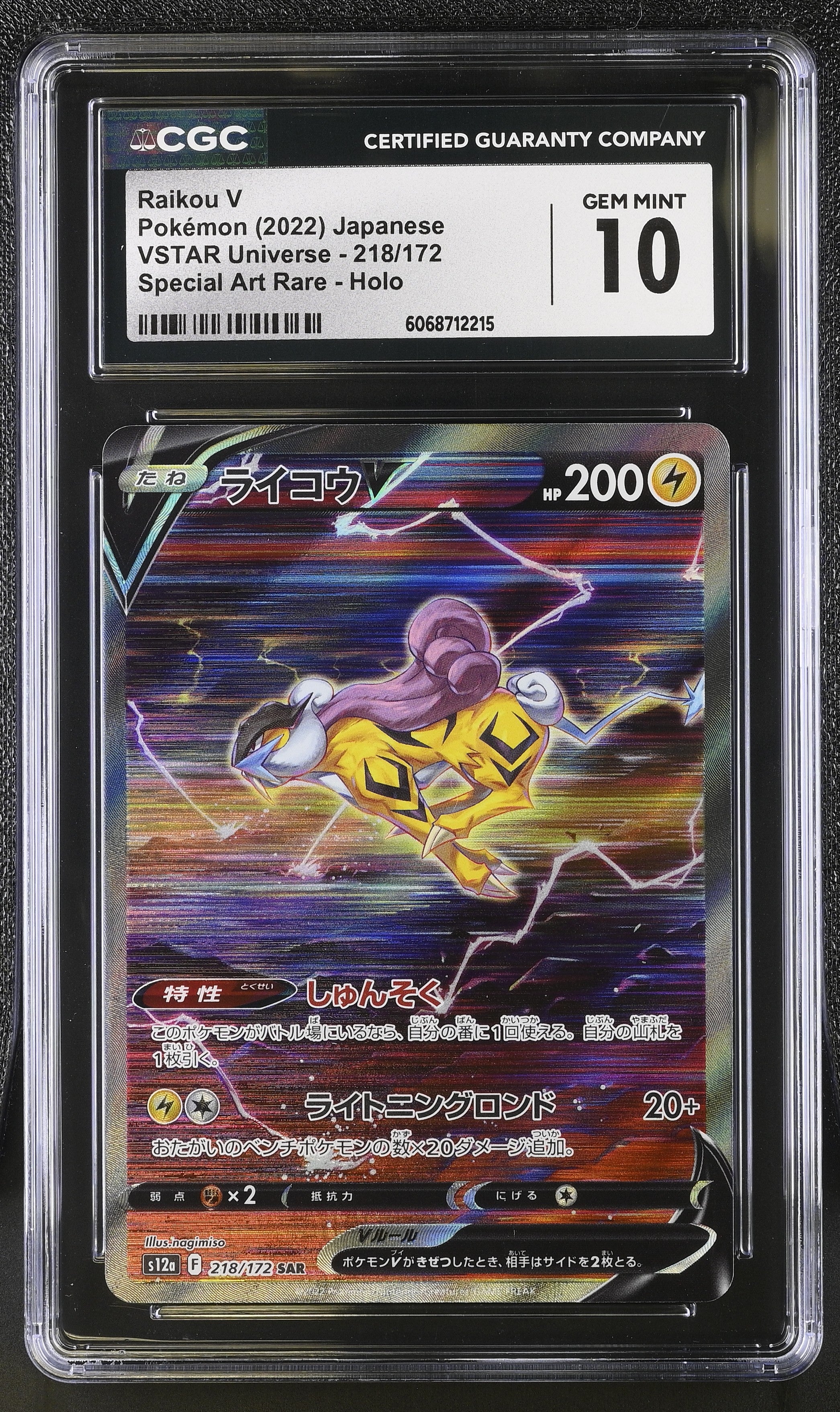 Raikou V 218/172 2022 Special Art Rare Holo Pokemon Japanese CGC 10 Gem Mint