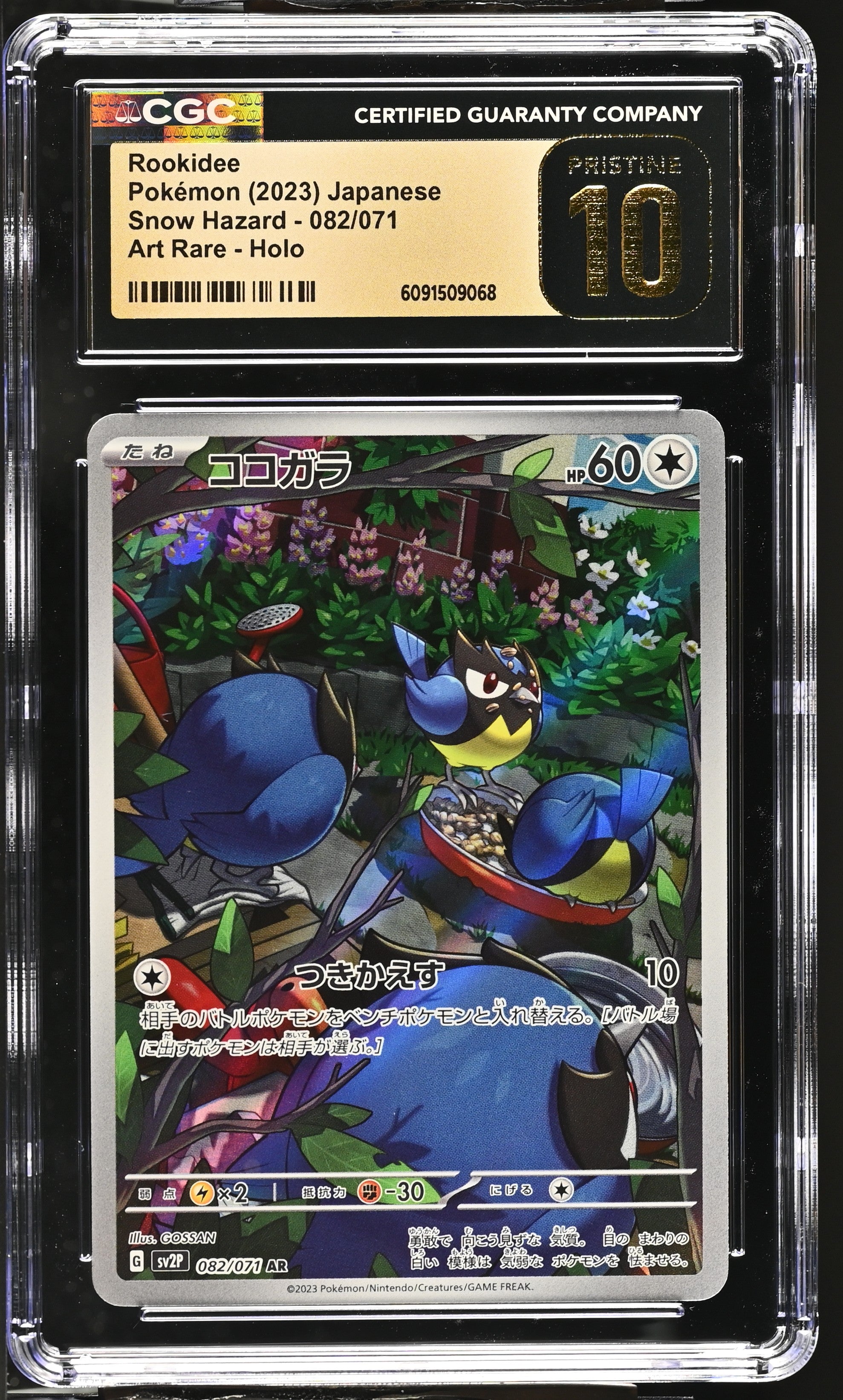 Rookidee 082/071 CGC 10 Pristine 2023 Art Rare Holo Snow Hazard Pokemon Japanese