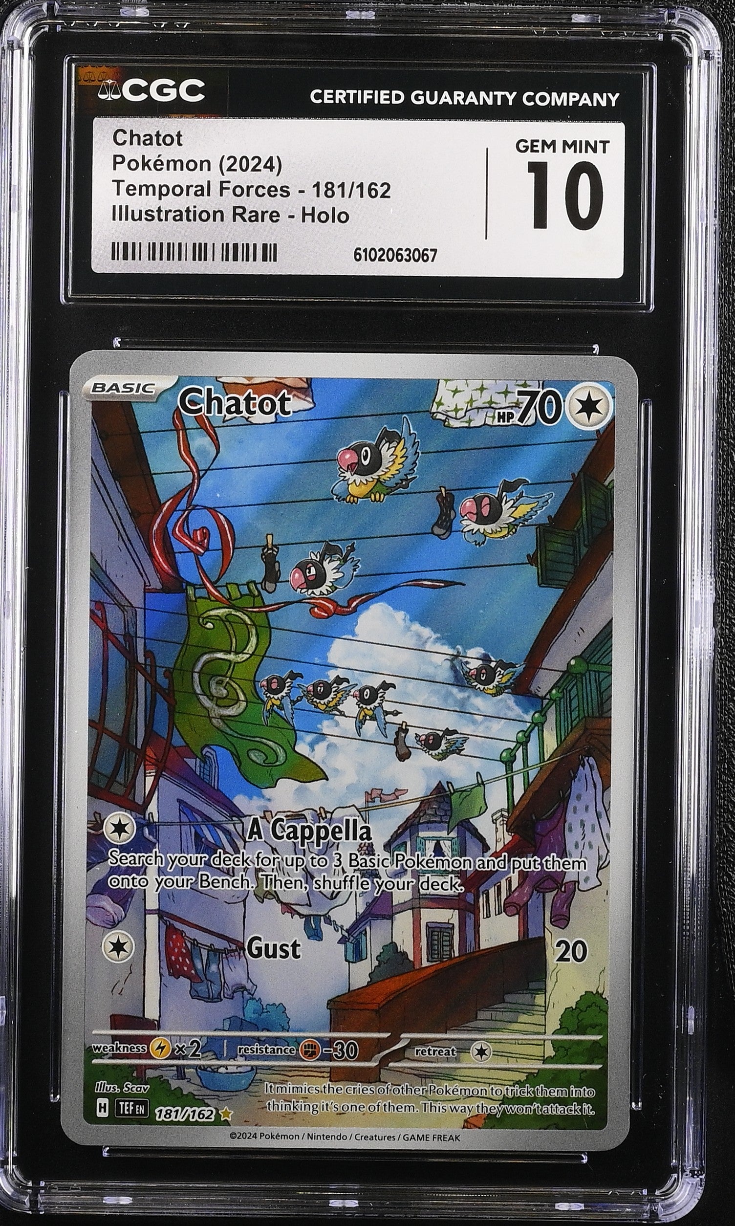 Chatot 181/162 CGC 10 Gem Mint 2024 Illustration Rare Holo Temporal Forces Pokemon English
