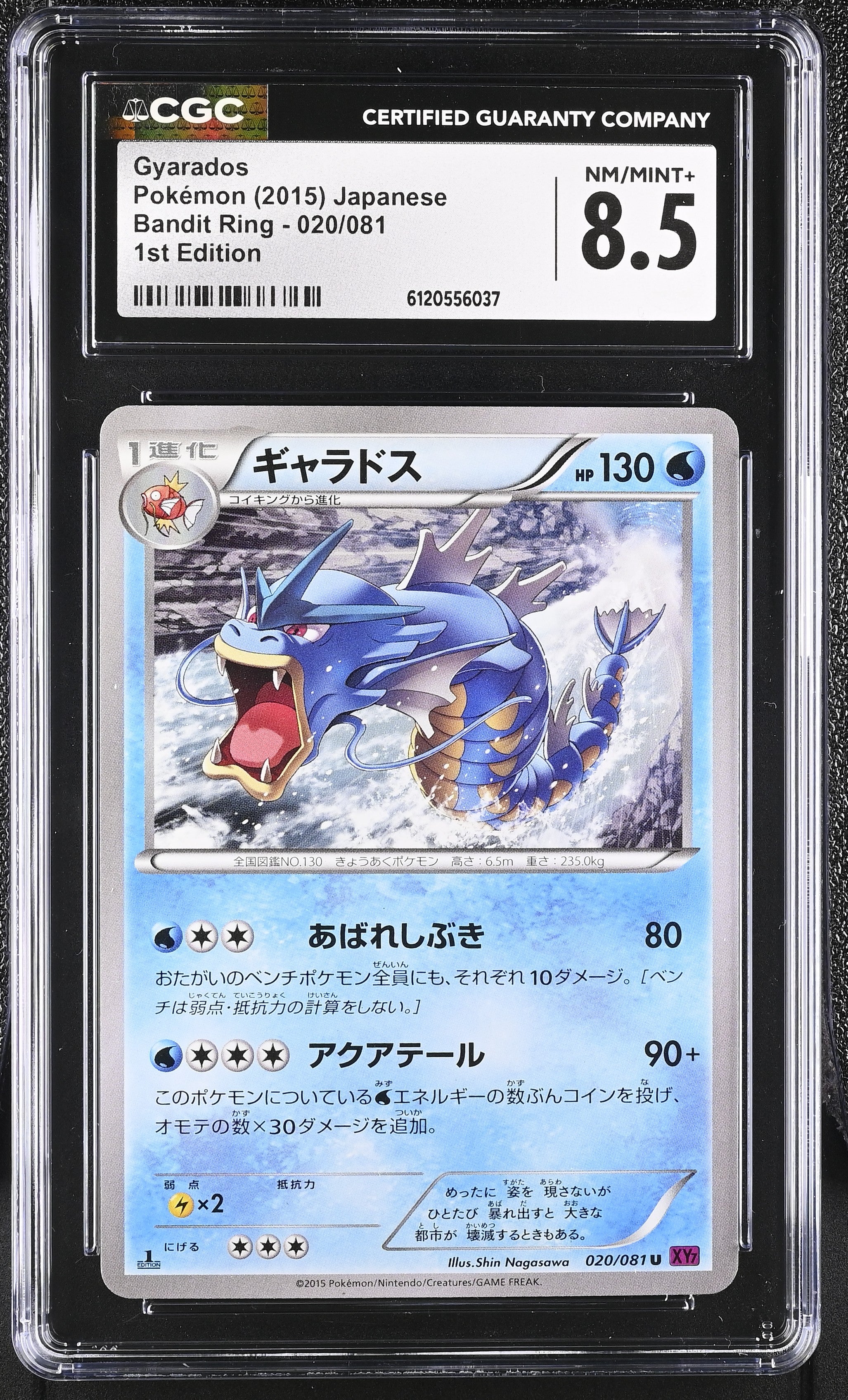 Gyarados 020/081 CGC 8.5 Nm/mint+ 2015 1st Edition Bandit Ring Pokemon Japanese