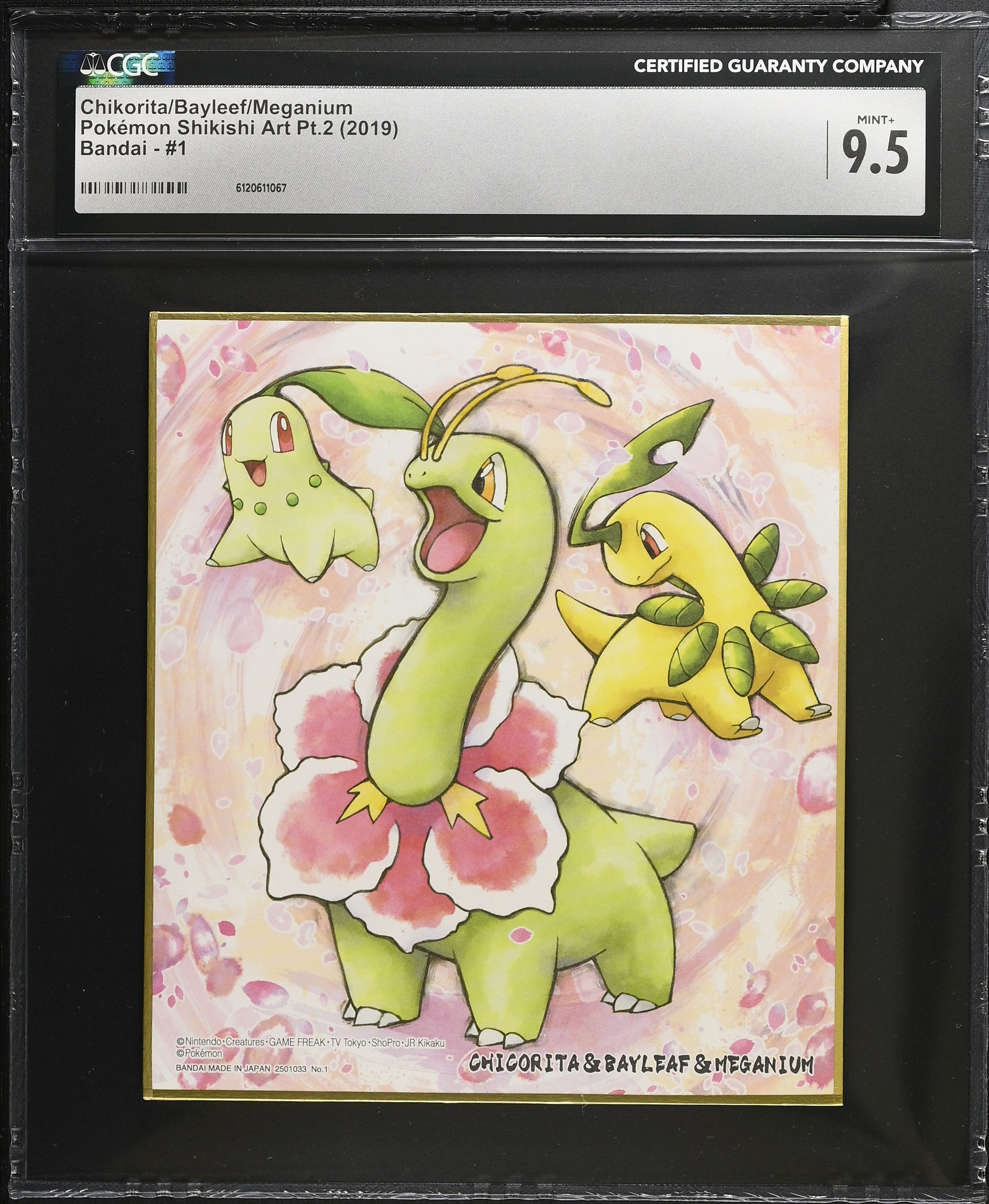 Chikorita Bayleef Meganium 1 CGC 9.5 Mint+ 2019 Pokemon Shikishi Art Pt.2 Japanese