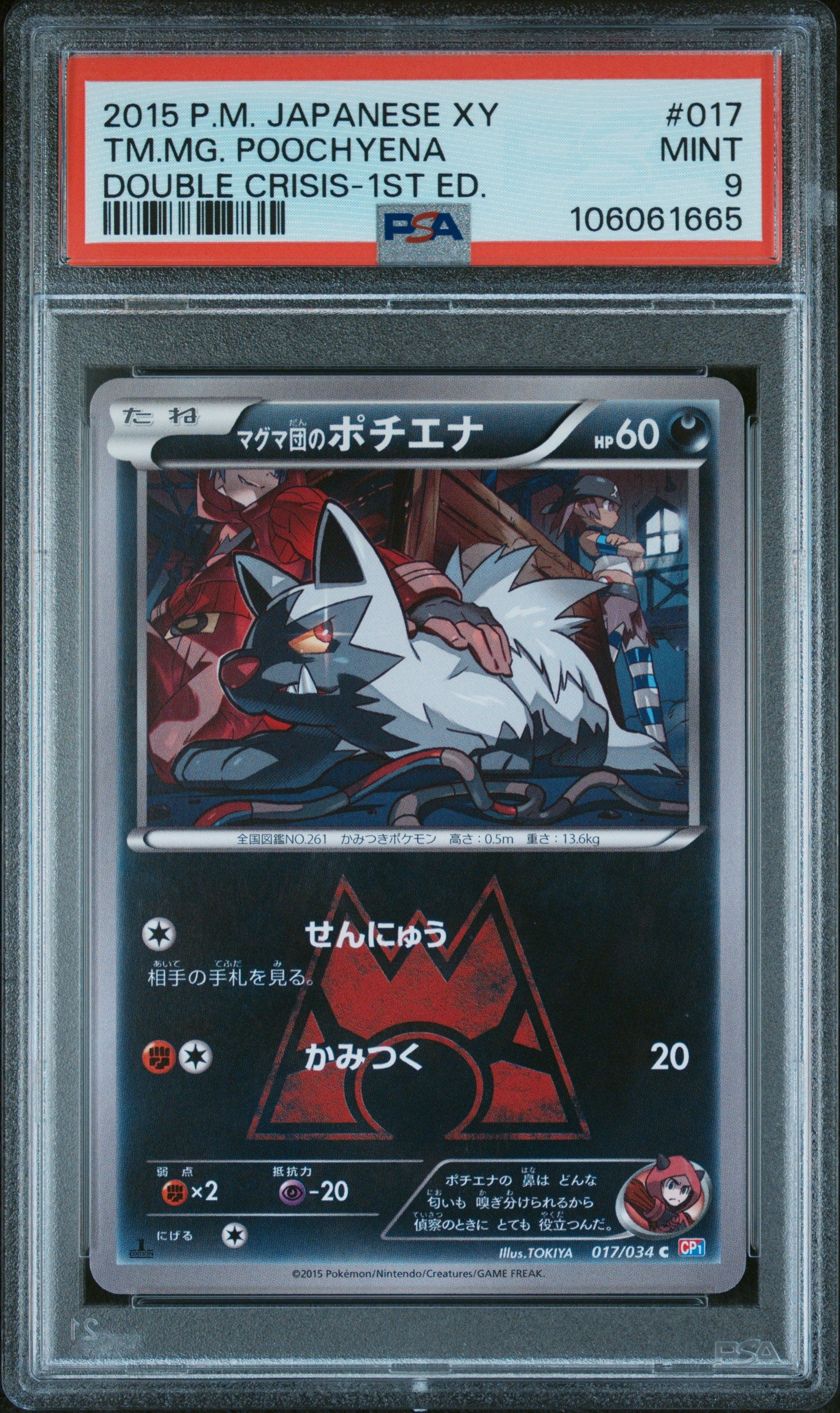 TEAM MAGMA POOCHYENA 017 PSA 9 POKEMON XY DOUBLE CRISIS 2015 JAPANESE 1ST ED