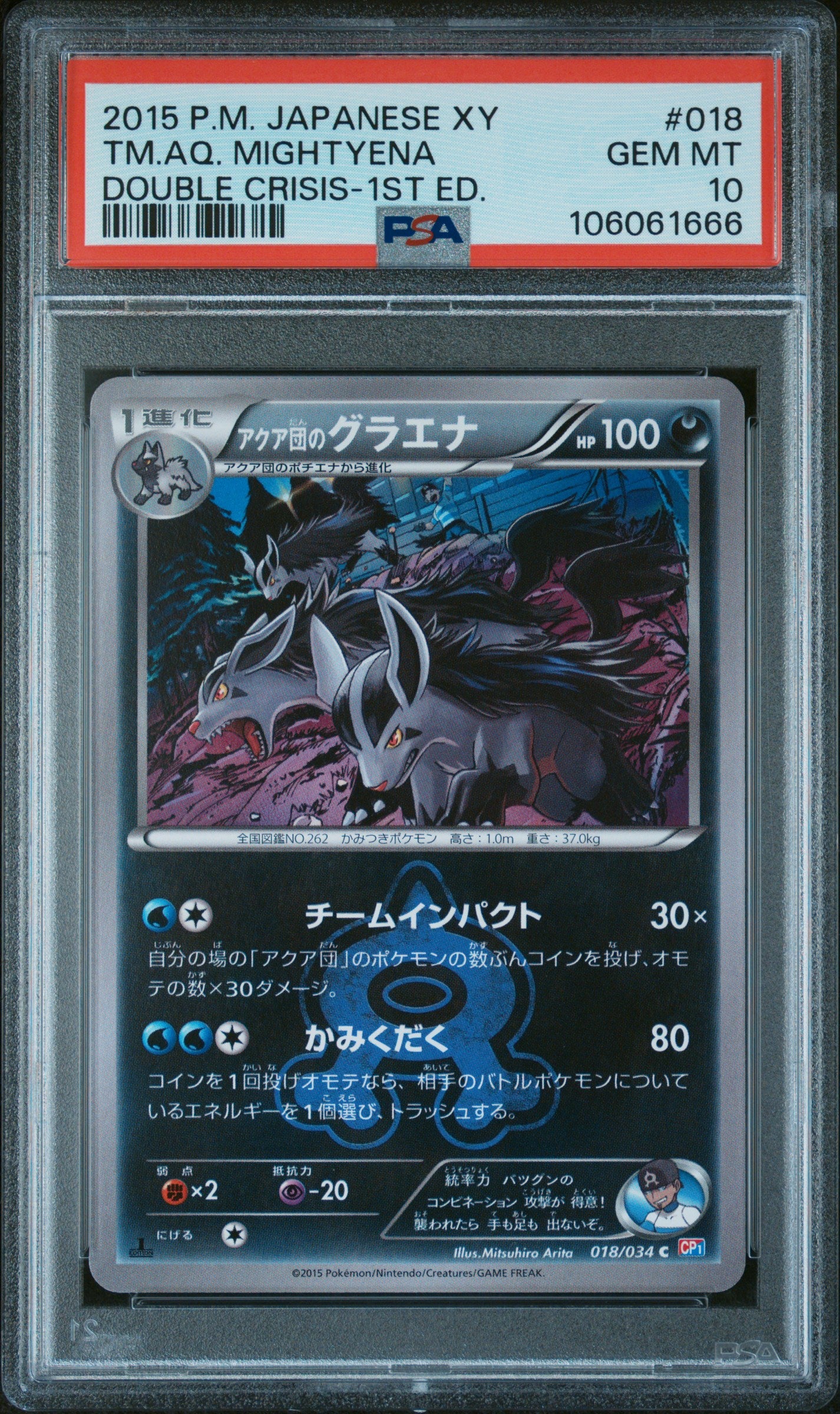 TEAM AQUA'S MIGHTYENA 018 PSA 10 POKEMON XY DOUBLE CRISIS 2015 JAPANESE 1ST ED