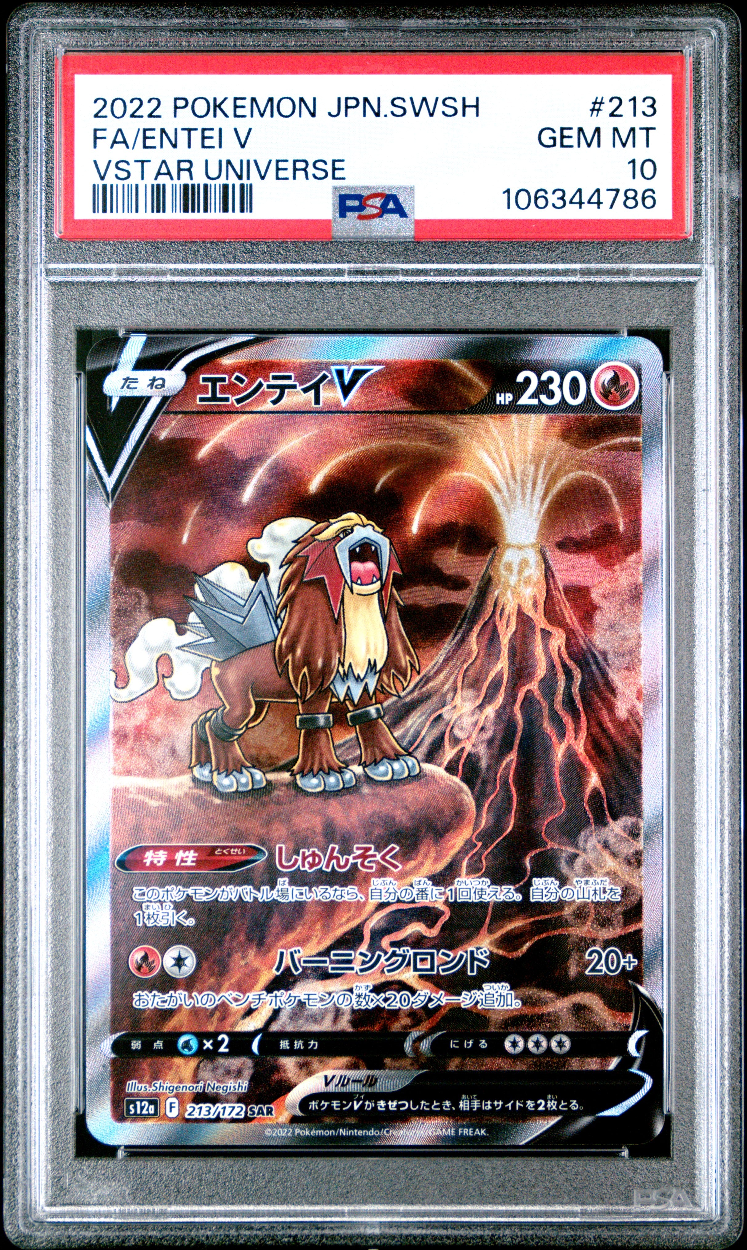 ENTEI V 213/172 PSA 10 POKEMON SWORD & SHIELD VSTAR UNIVERSE 2022 JAPANESE