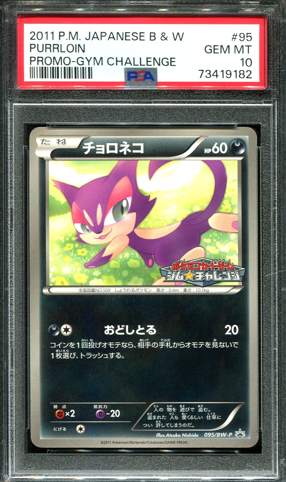 PURRLOIN 095/BW-P PSA 10 POKEMON GYM CHALLENGE JAPANESE
