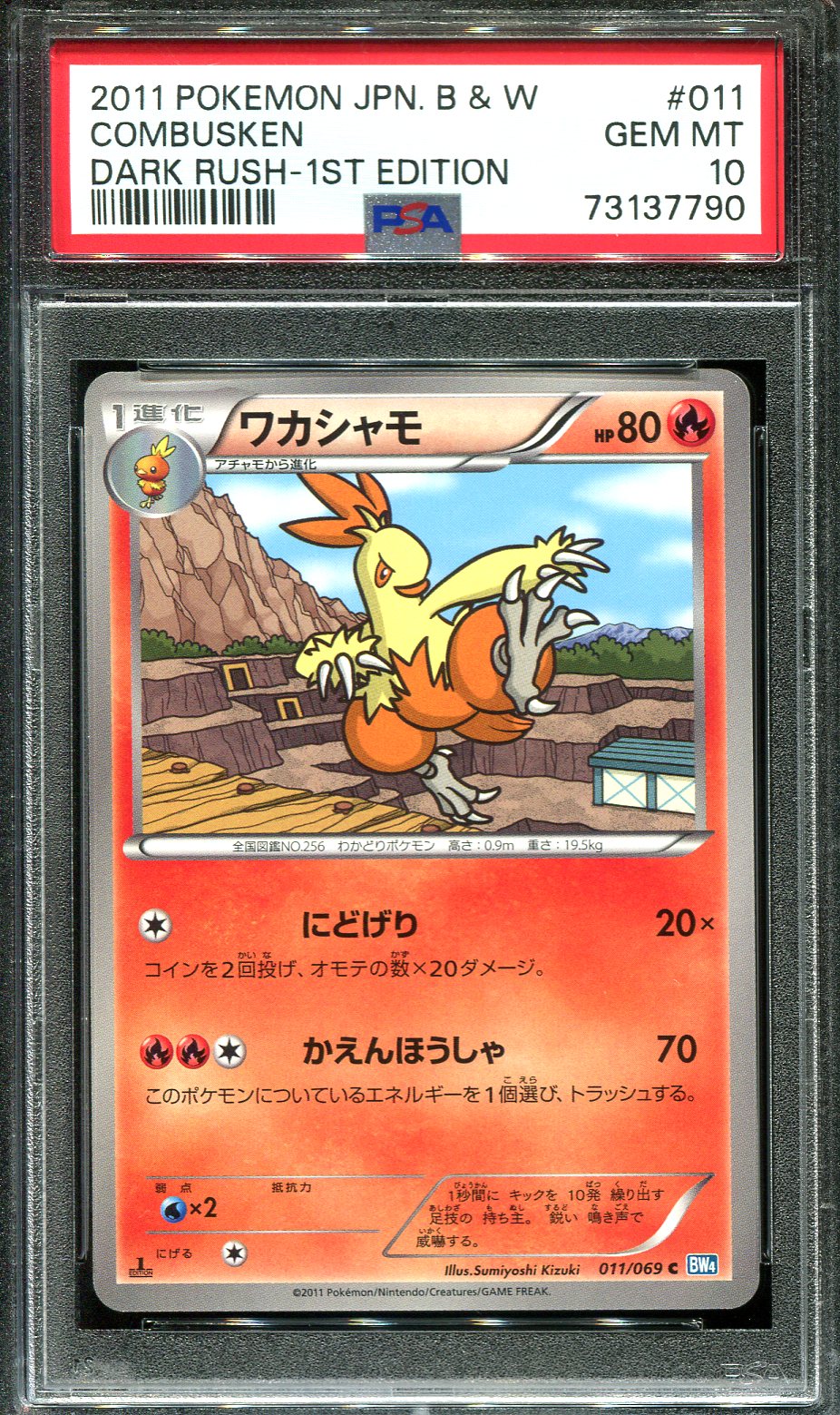 COMBUSKEN 011/069 PSA 10 POKEMON DARK RUSH BW4 JAPANESE