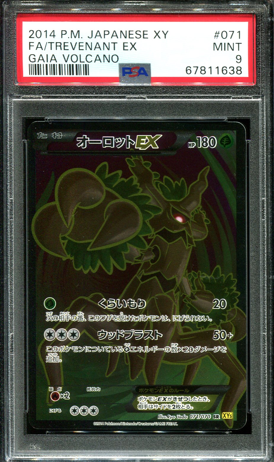 TREVENANT EX 071/070 PSA 9 POKEMON GAIA VOLCANO XY5 JAPANESE