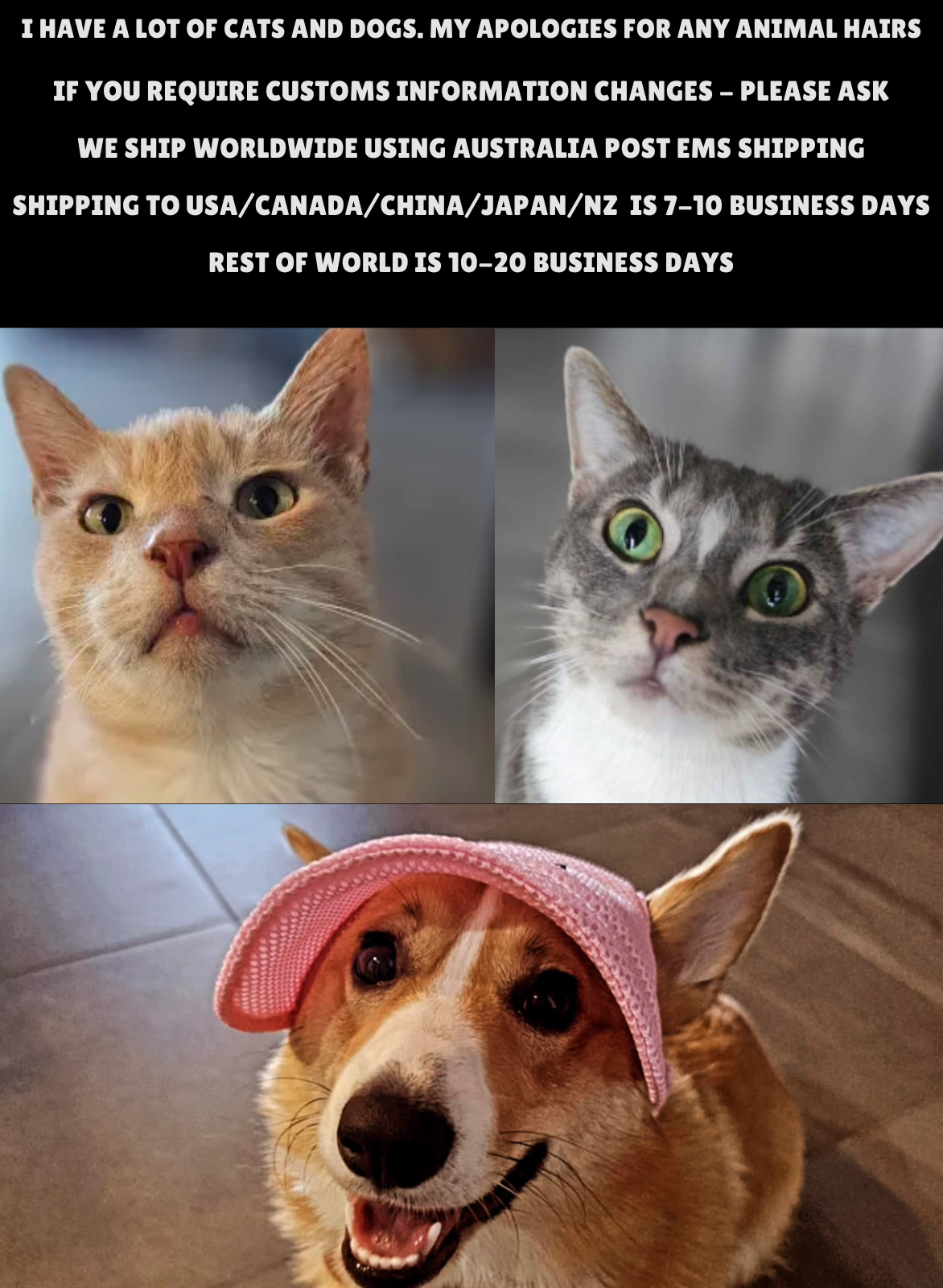 Victory Medal 031/DPt-P 2009 5 Consecutive Wins Pokemon Japanese CGC 9 Mint