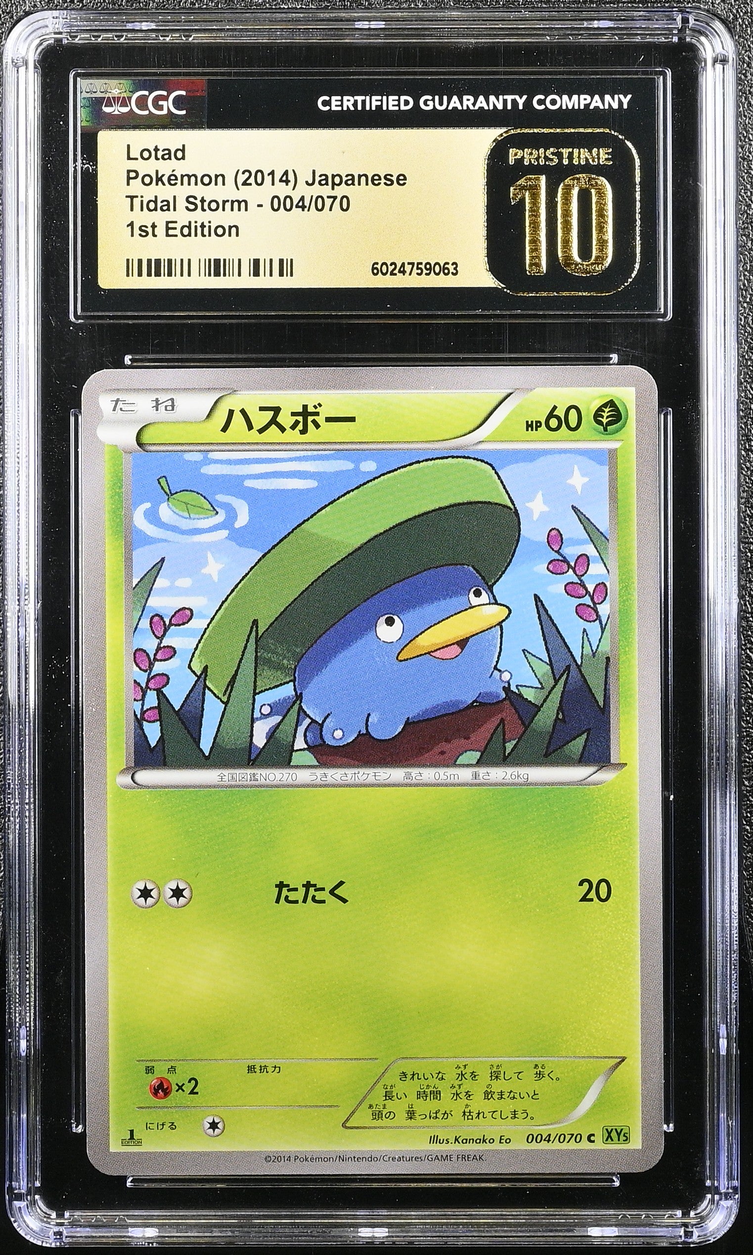 LOTAD TIDAL STORM 004/070 POKEMON JAPANESE 1ST EDITION CGC 10 PRISTINE