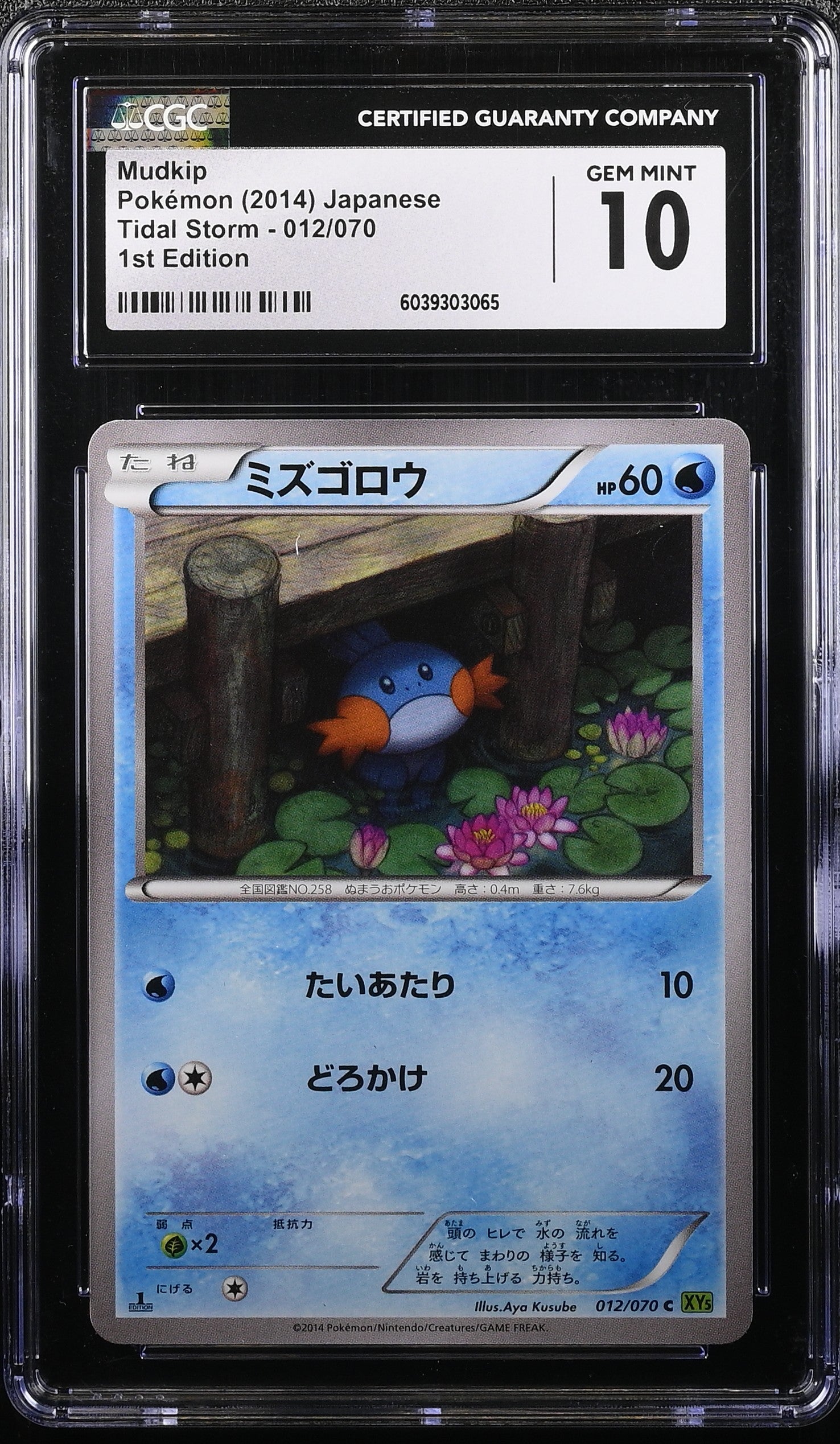 Mudkip 012/070 1st Edition Tidal Storm Pokemon Japanese CGC 10 Gem Mint