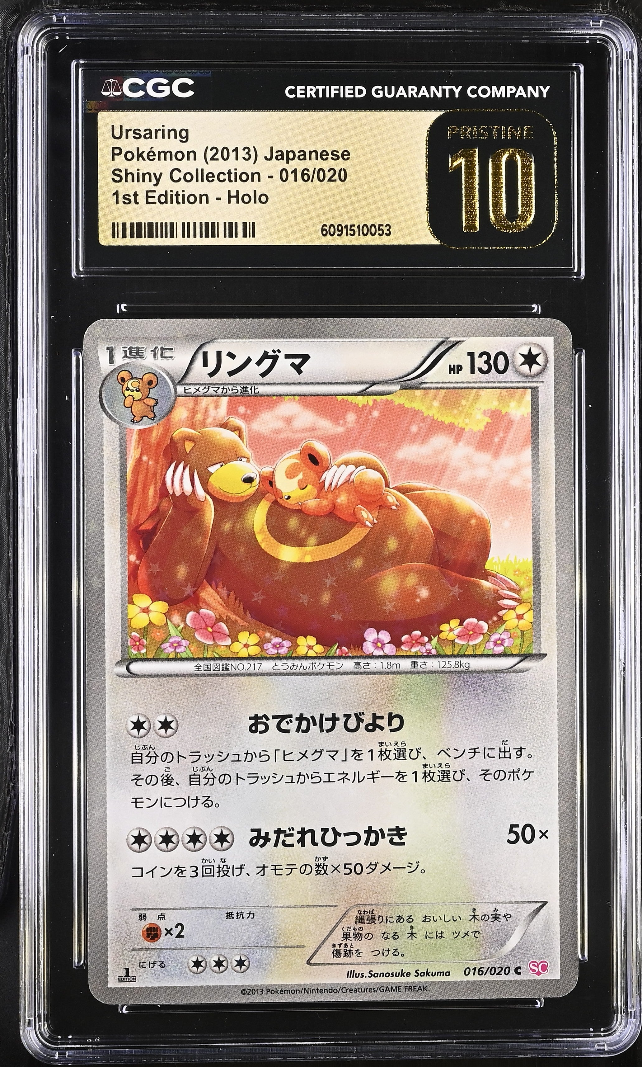 Ursaring 016/020 CGC 10 Pristine 2013 1st Edition Holo Pokemon Japanese