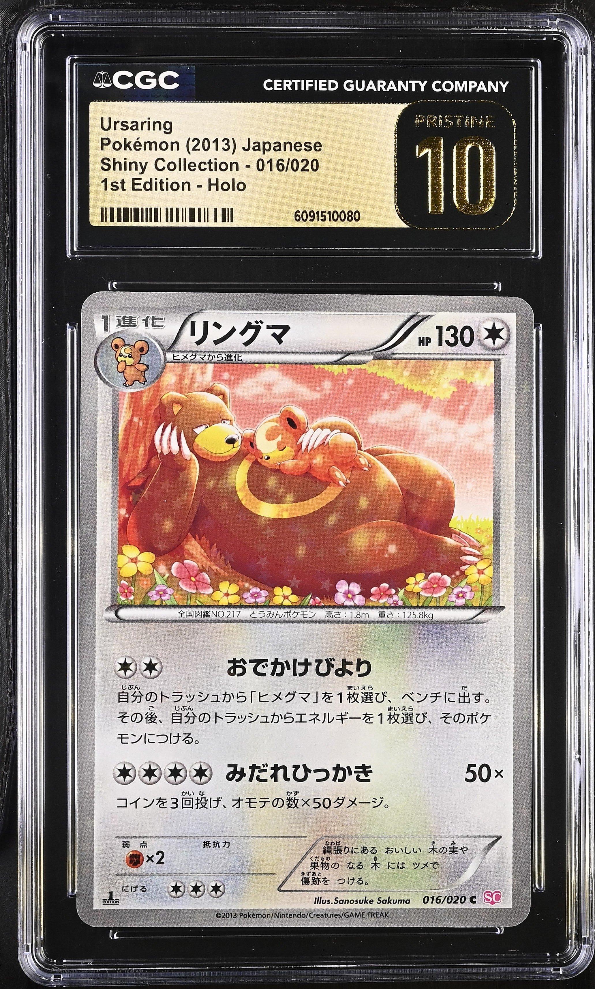 Ursaring 016/020 CGC 10 Pristine 2013 1st Edition Holo Pokemon Japanese