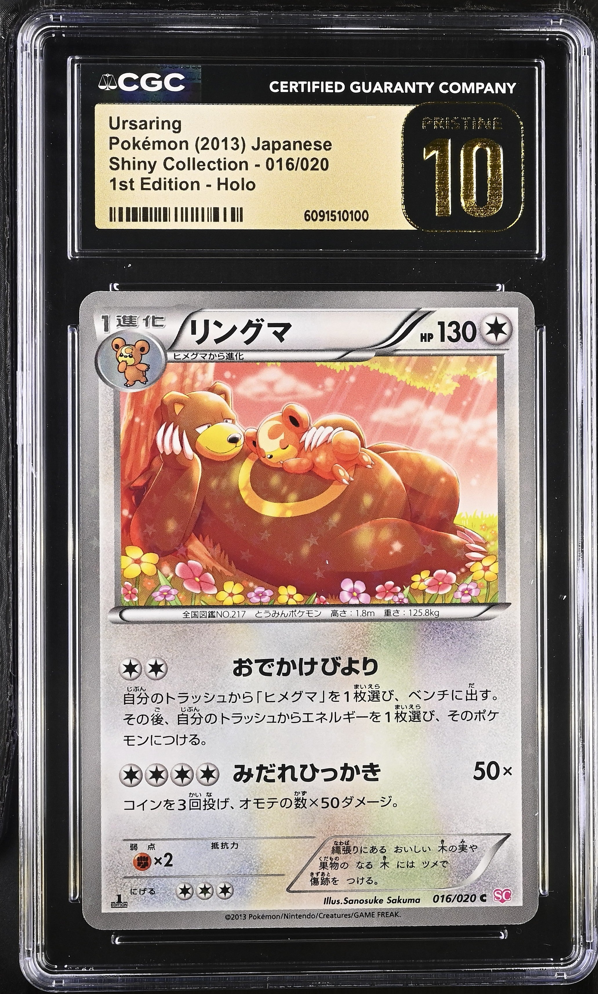 Ursaring 016/020 CGC 10 Pristine 2013 1st Edition Holo Pokemon Japanese