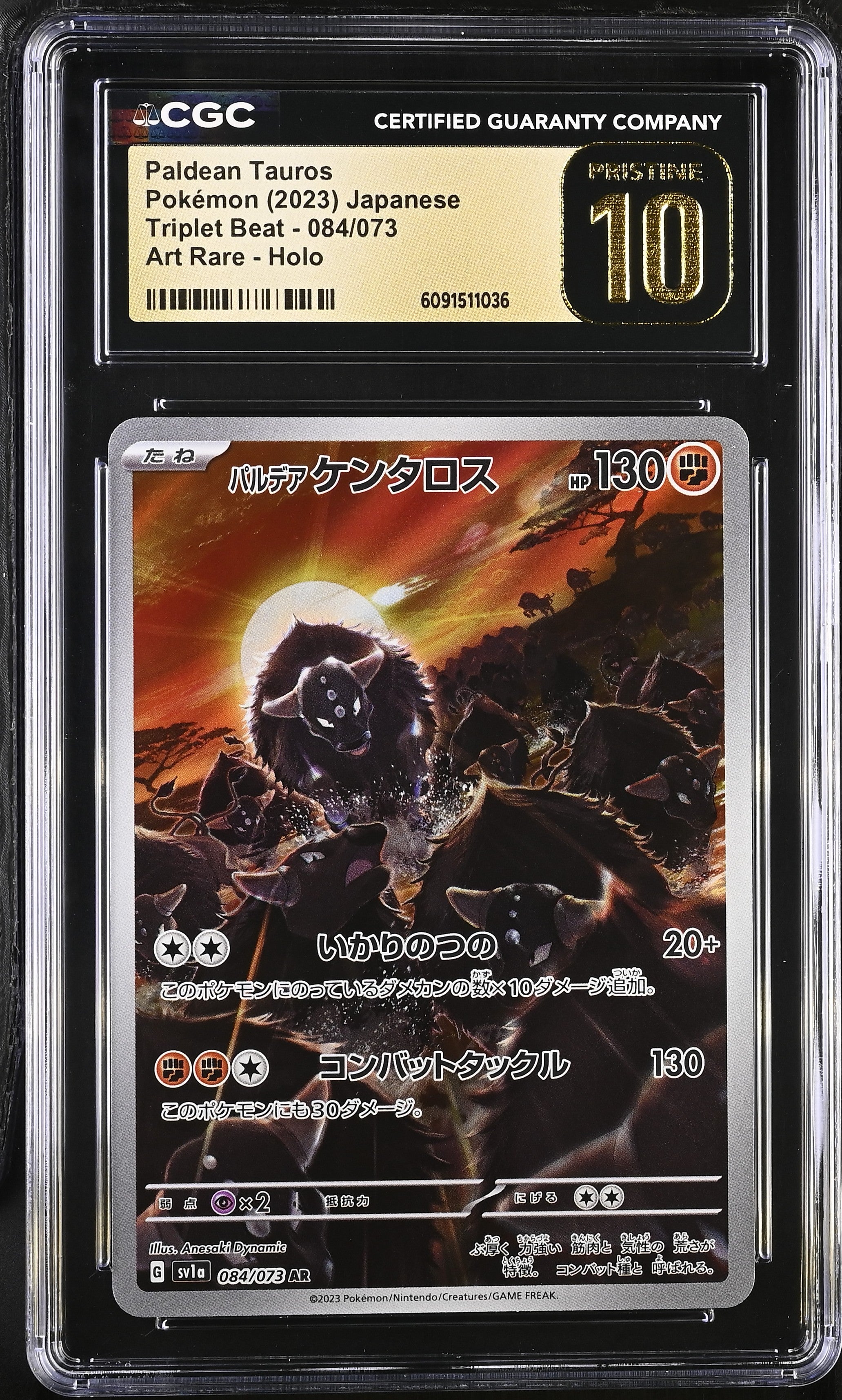 Paldean Tauros 084/073 CGC 10 Pristine 2023 Art Rare Holo Pokemon Japanese