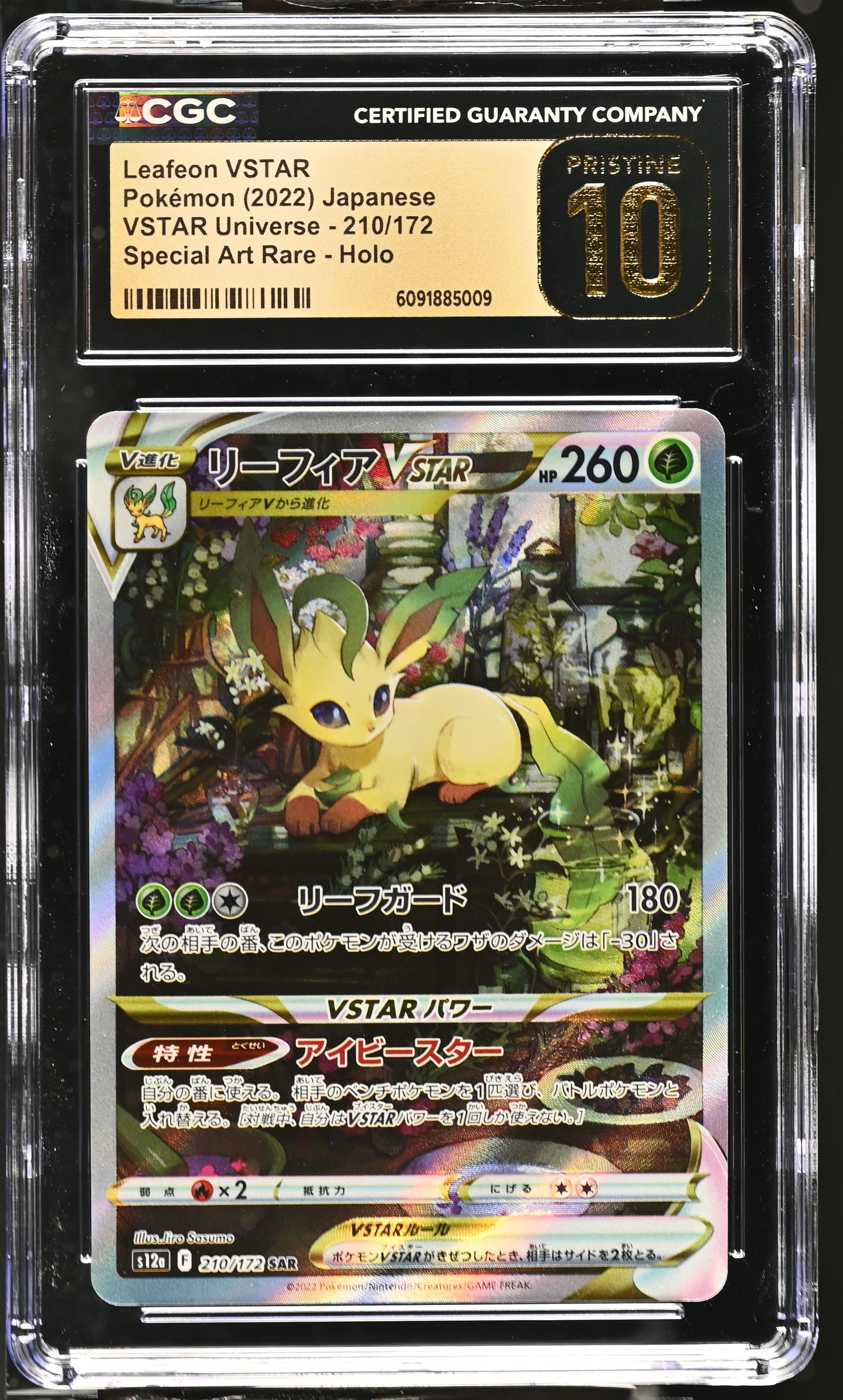 Leafeon Vstar 210/172 CGC 10 Pristine 2022 Special Art Rare Holo Pokemon