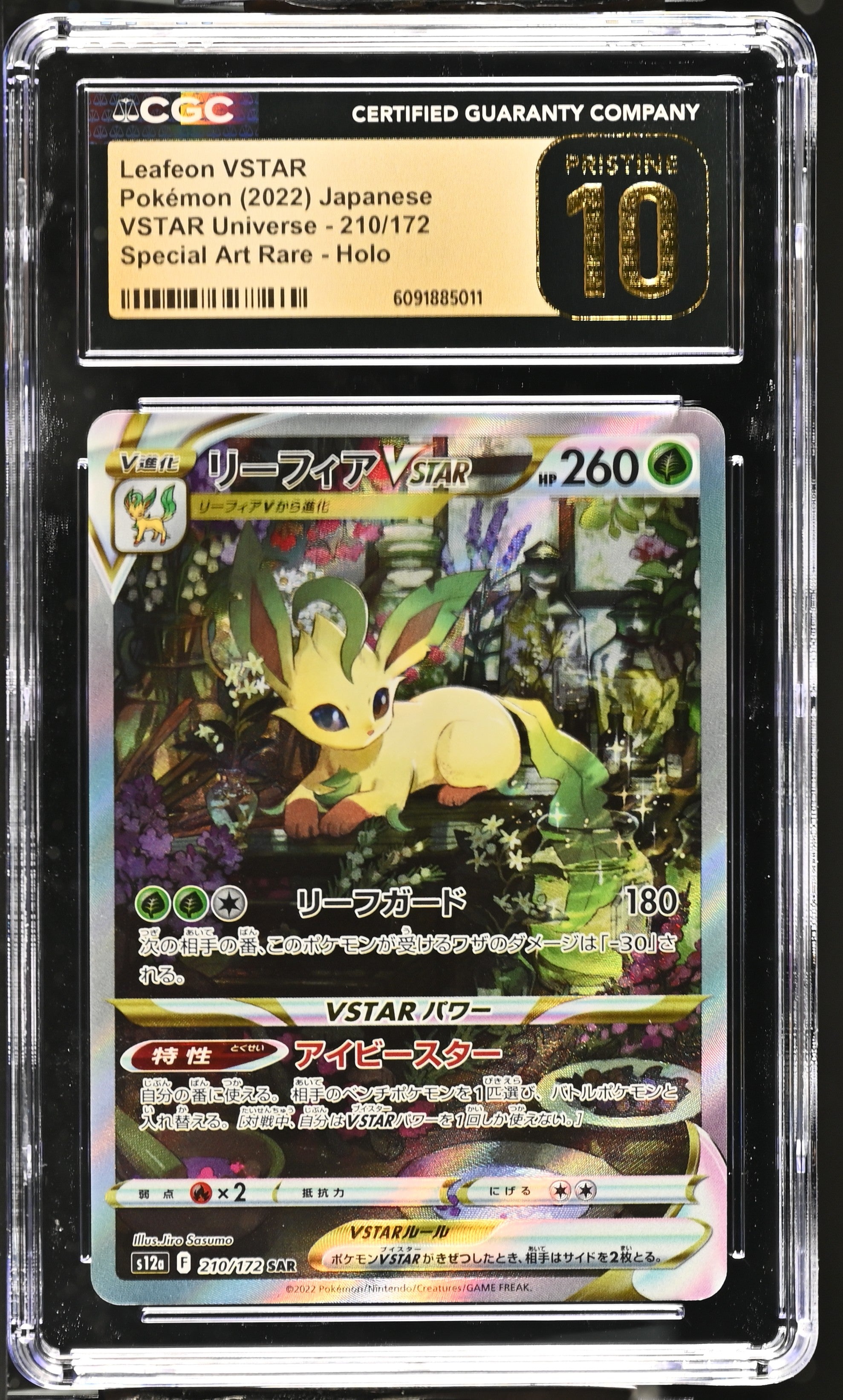 Leafeon Vstar 210/172 CGC 10 Pristine 2022 Special Art Rare Holo Pokemon
