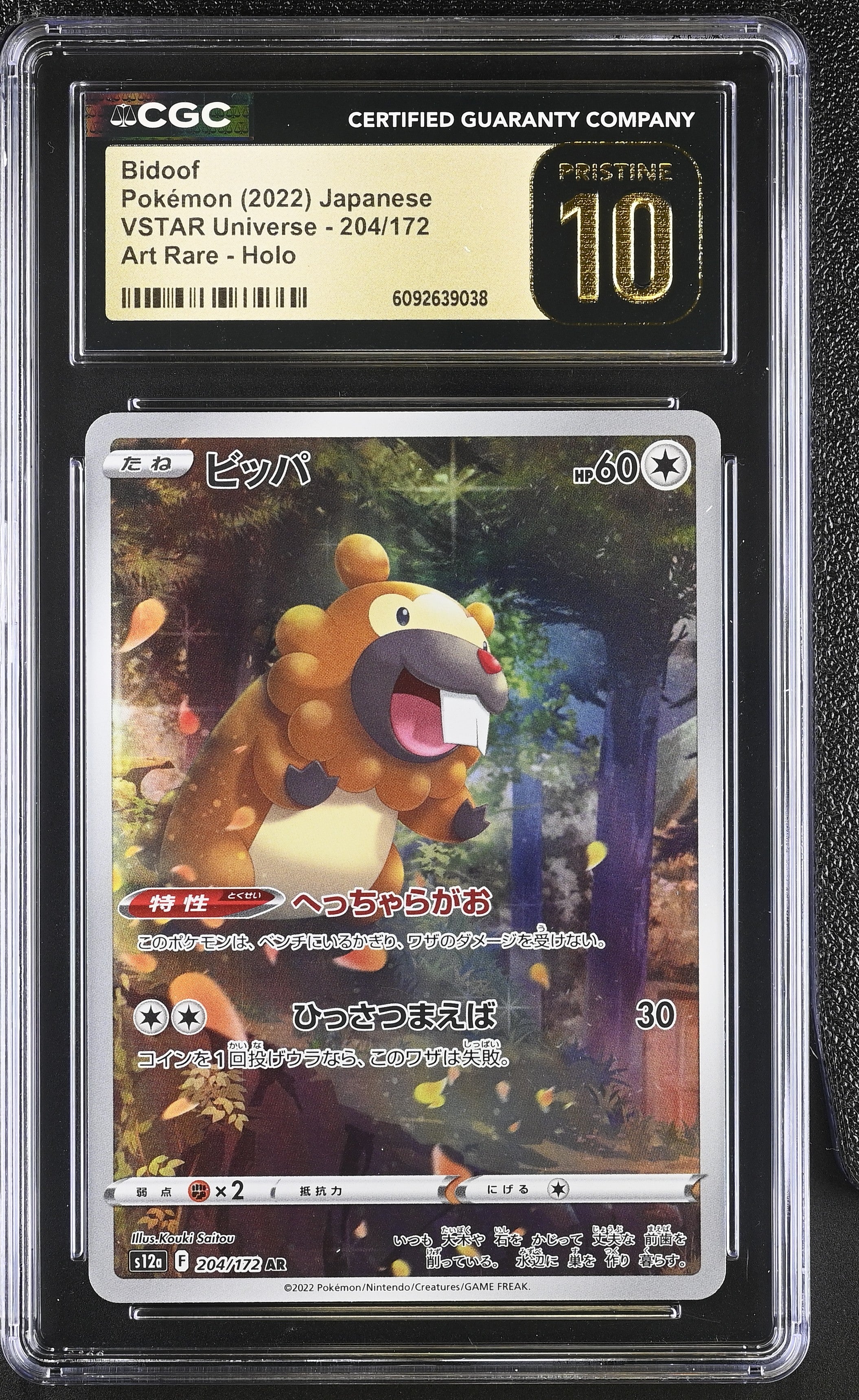 Bidoof 204/172 CGC 10 Pristine 2022 Art Rare Holo Vstar Universe Pokemon Japanese