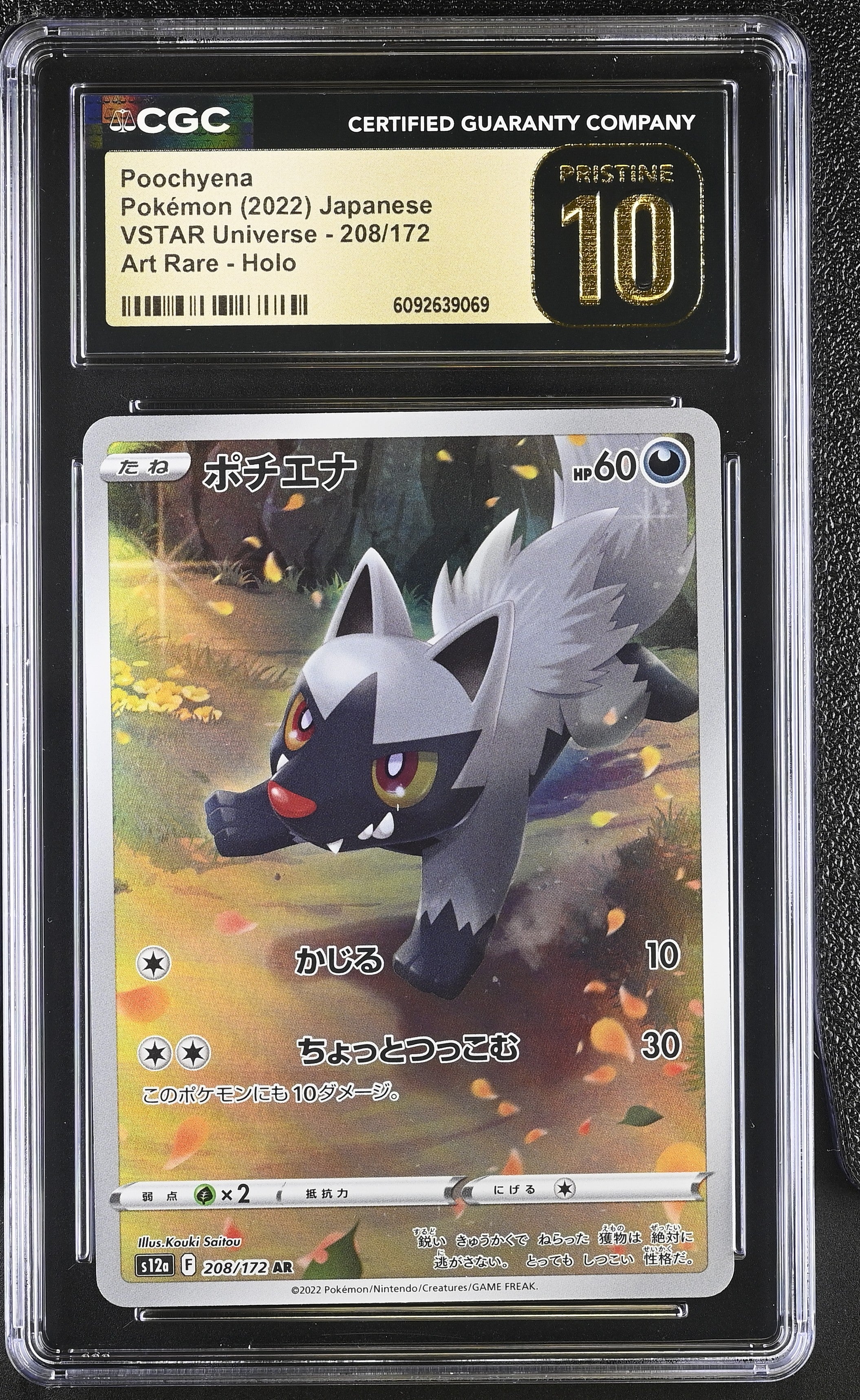 Poochyena 208/172 CGC 10 Pristine 2022 Art Rare Holo Vstar Universe Pokemon Japanese