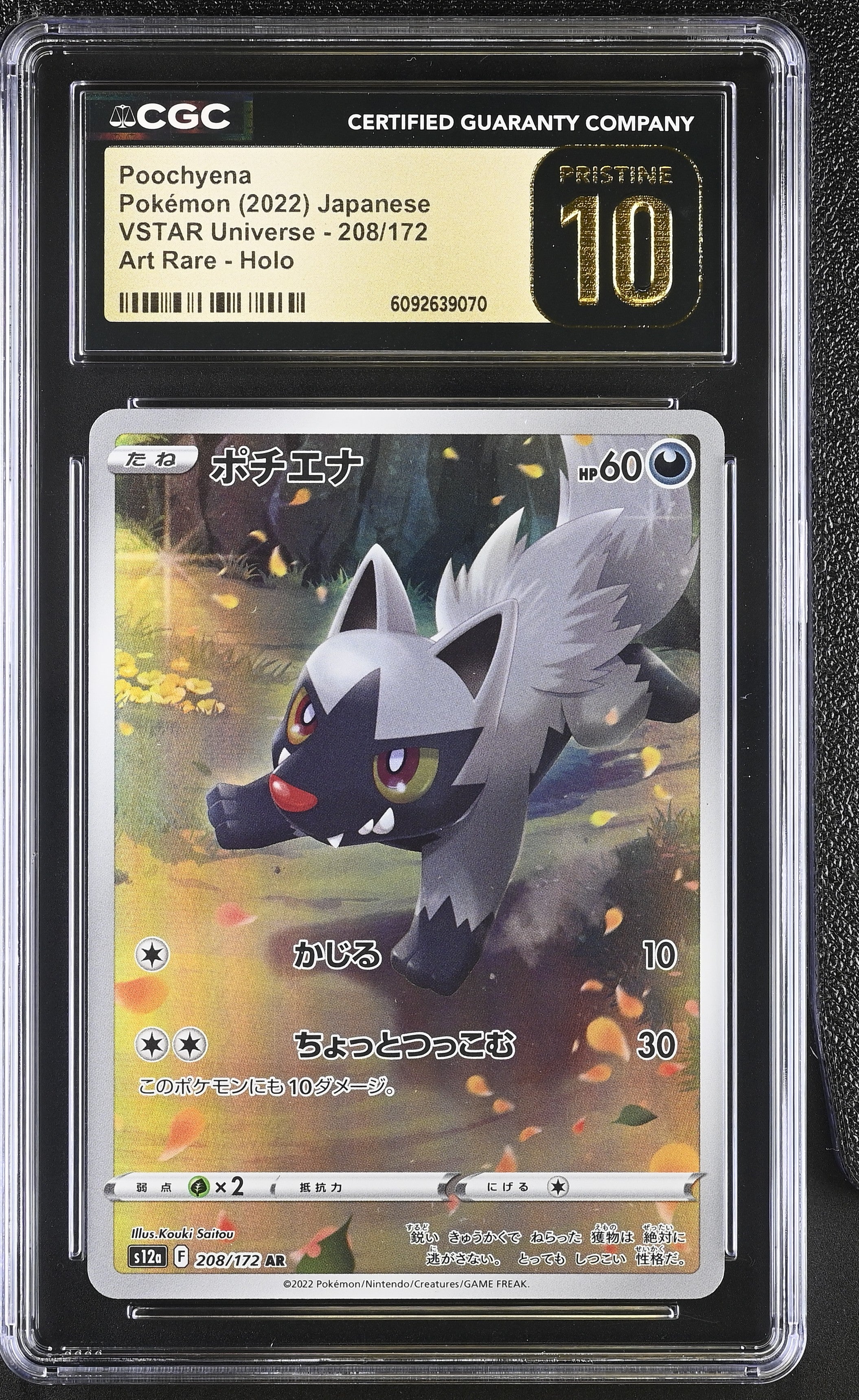 Poochyena 208/172 CGC 10 Pristine 2022 Art Rare Holo Vstar Universe Pokemon Japanese