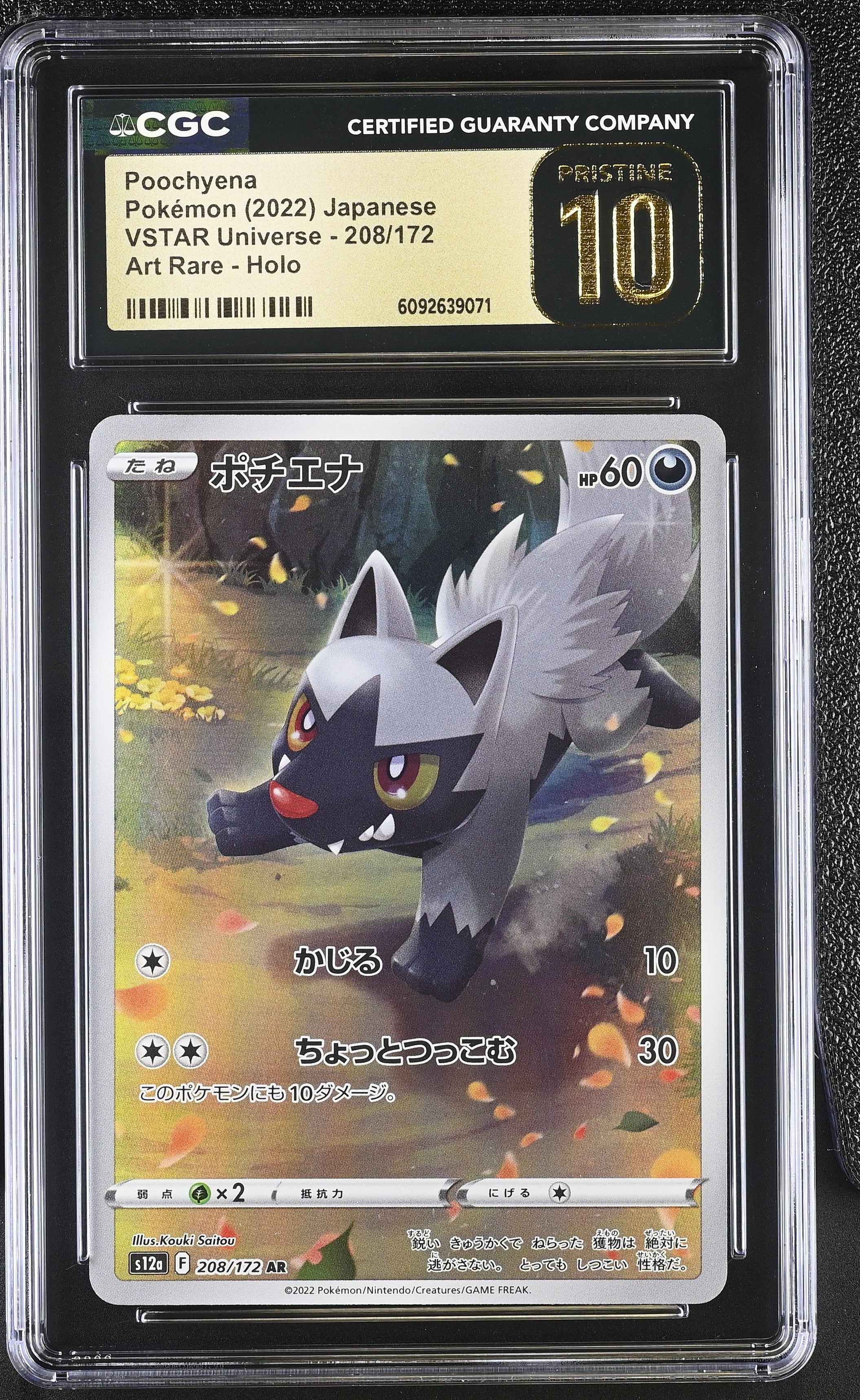 Poochyena 208/172 CGC 10 Pristine 2022 Art Rare Holo Vstar Universe Pokemon Japanese