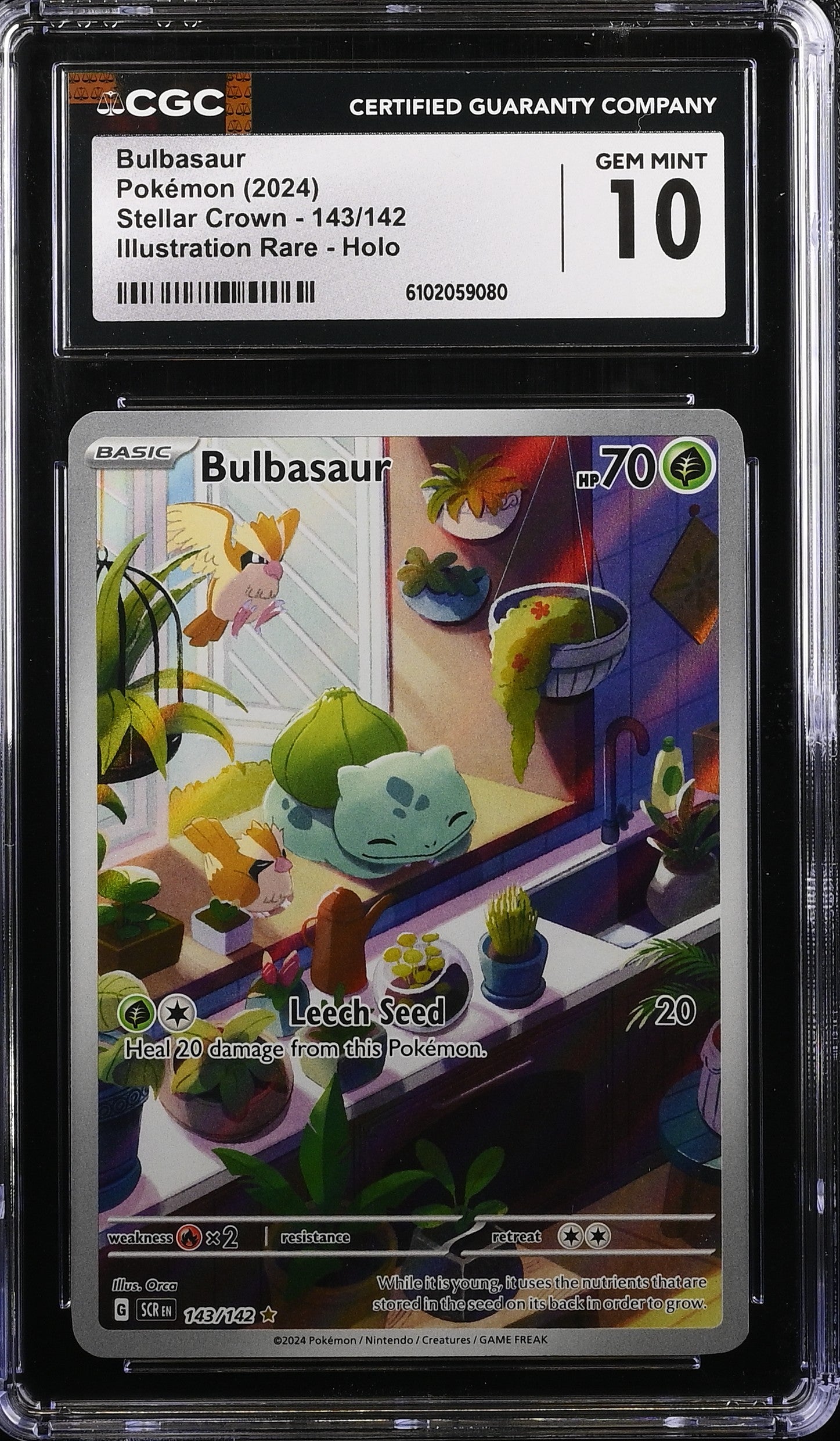 Bulbasaur 143/142 CGC 10 Gem Mint 2024 Illustration Rare Holo Stellar Crown Pokemon English