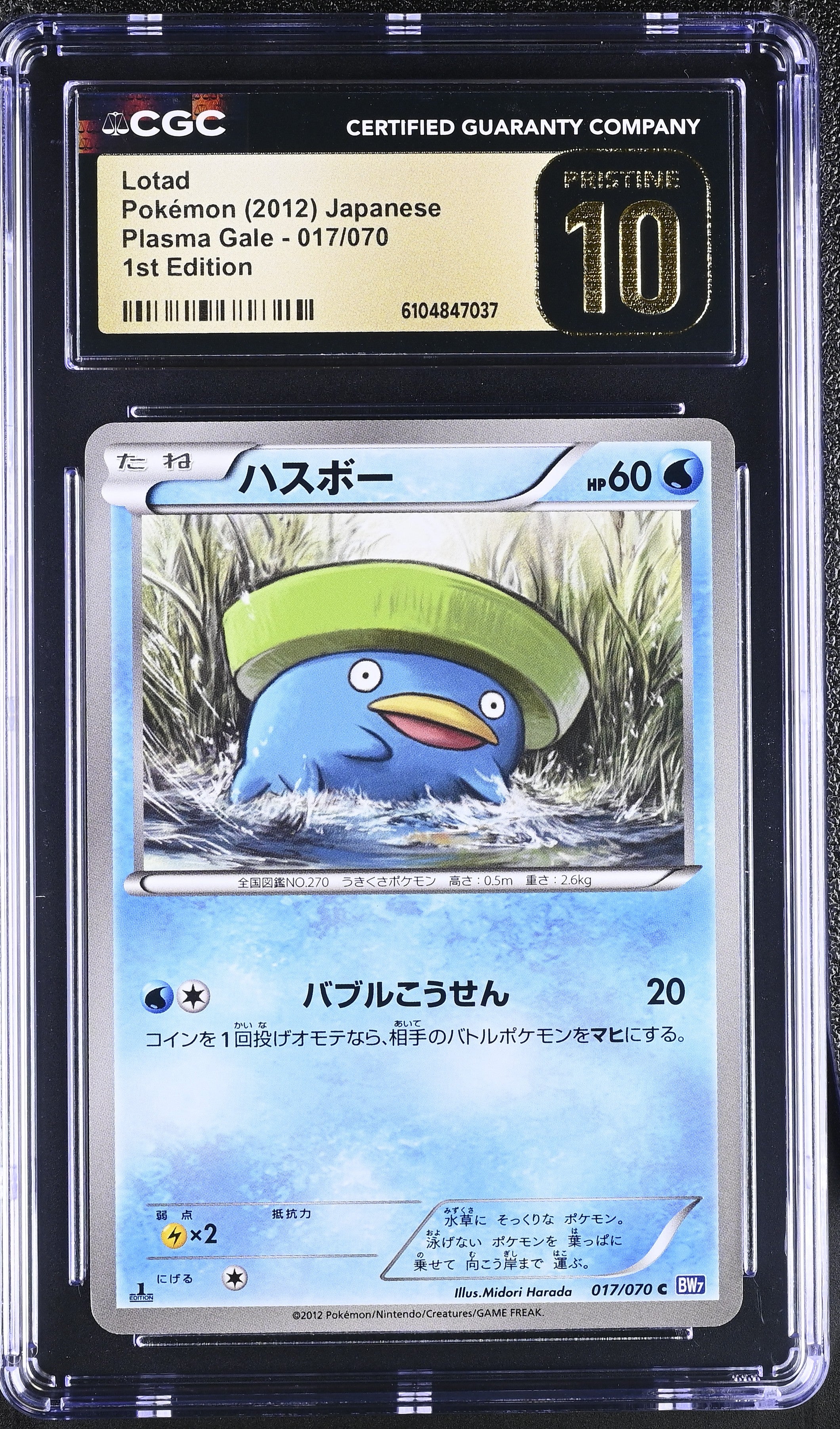 Lotad 017/070 CGC 10 Pristine 2012 1st Edition Plasma Gale Pokemon Japanese