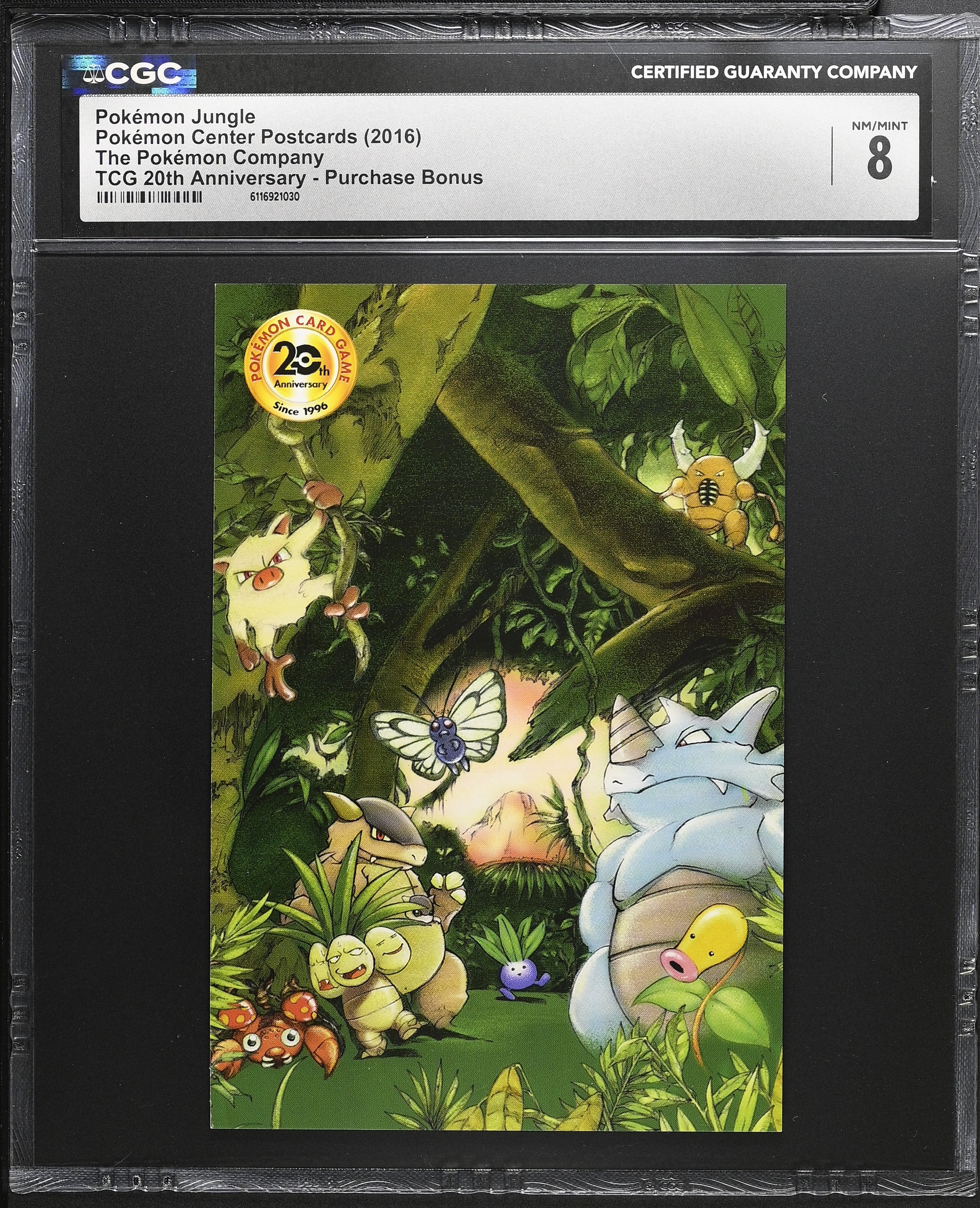 Jungle Set Artwork CGC 8 2016 20th Anniversary Pokemon Postcards Mitsuhiro Arita