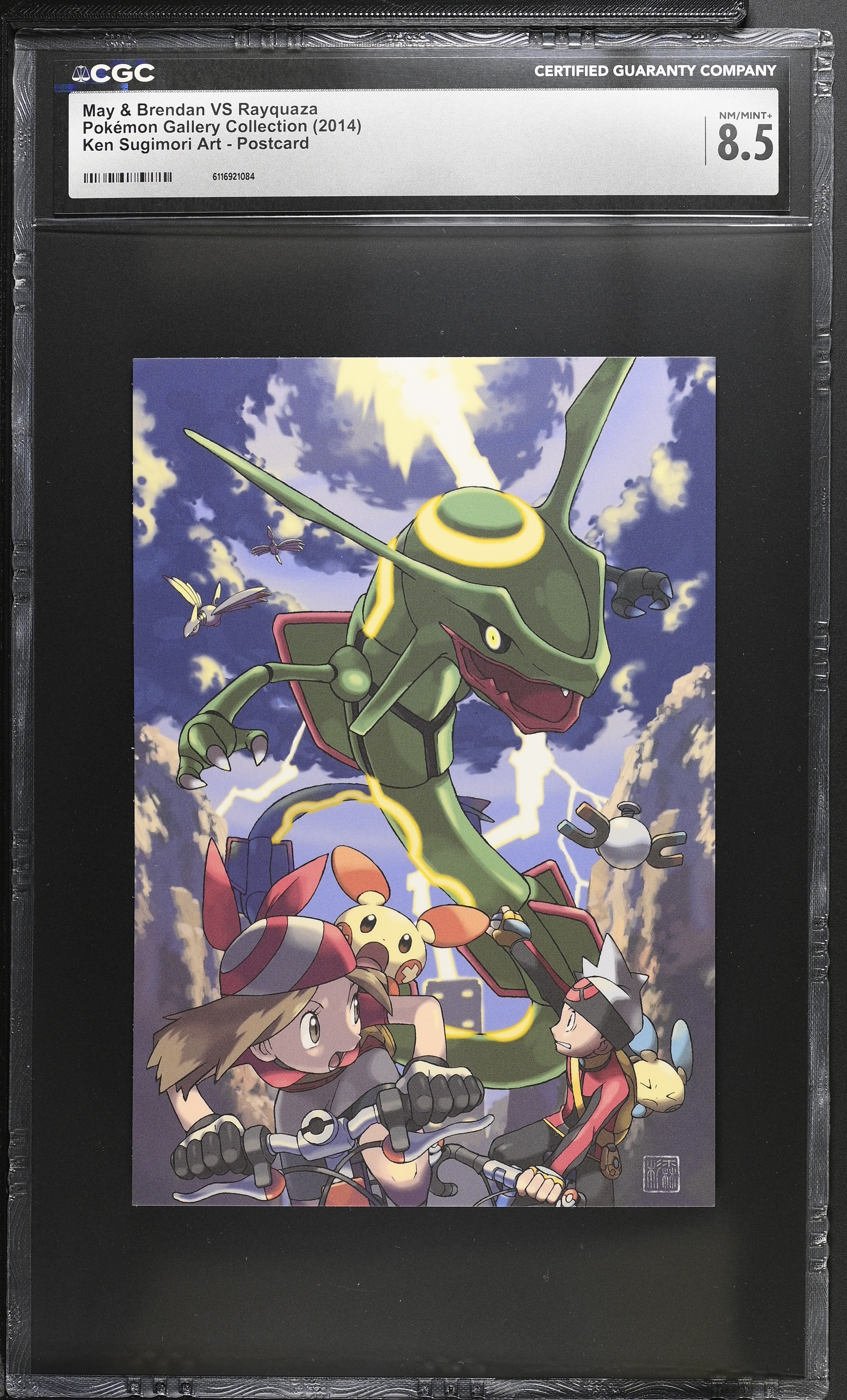 May Brendan Rayquaza CGC 8.5 2014 Ken Sugimori Art Postcard Pokemon Collection 