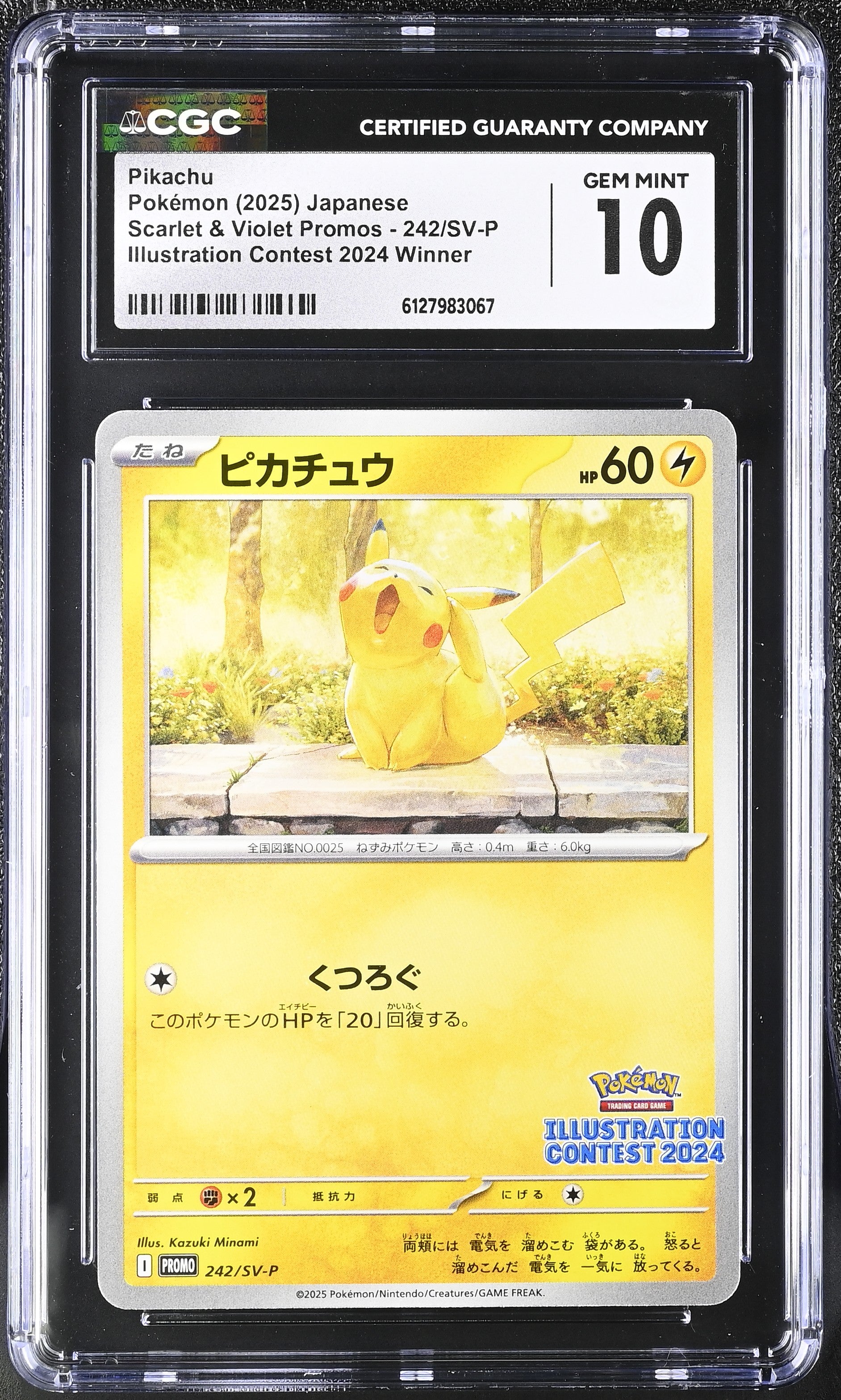 Pikachu 242/SV-P CGC 10 Gem Mint 2025 Illustration Contest 2024 Winner Scarlet & Violet Promos Pokemon Japanese