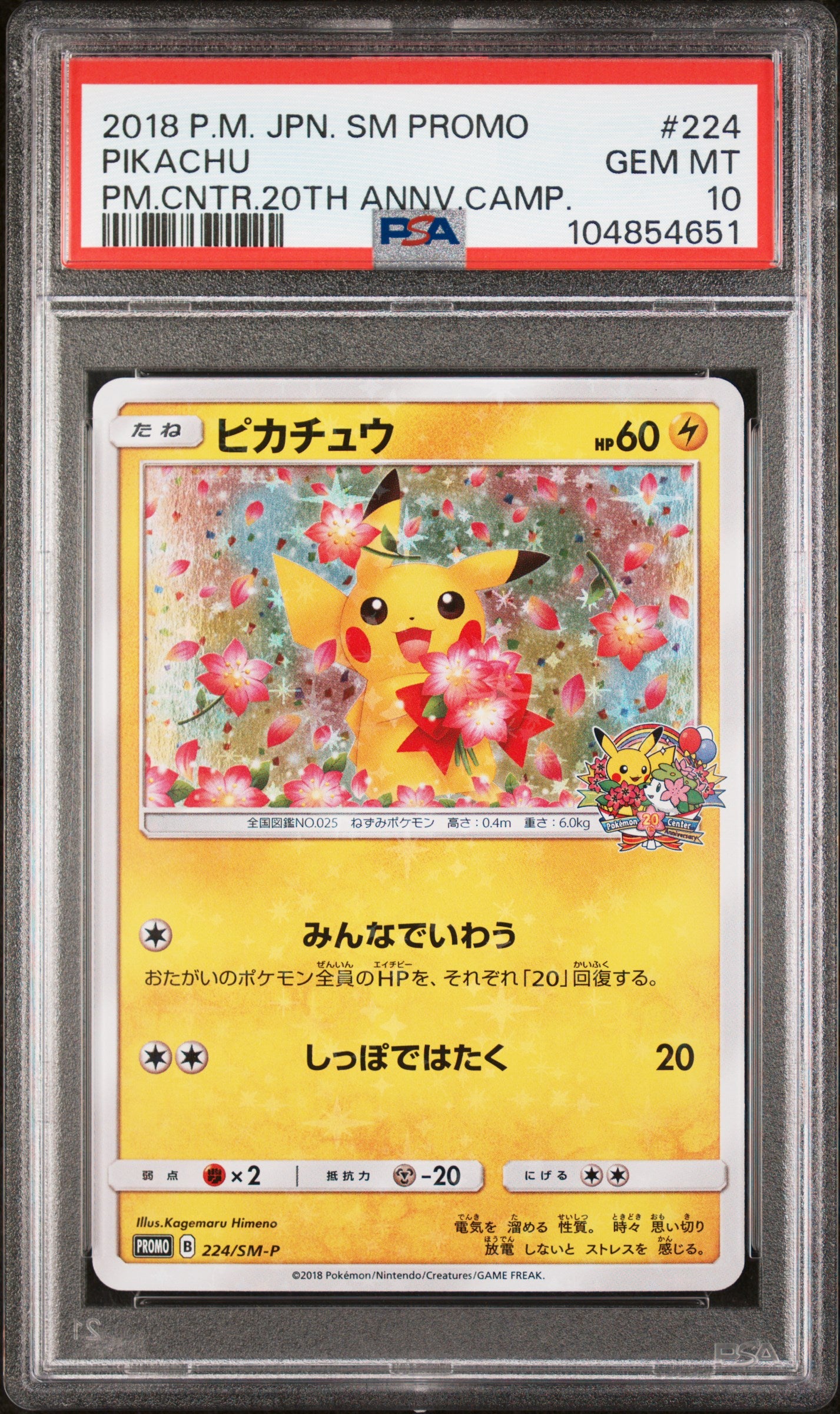 PIKACHU 224/SM-P PSA 10 POKEMON SM PROMO 2018 JAPANESE 20TH ANNIVERSARY