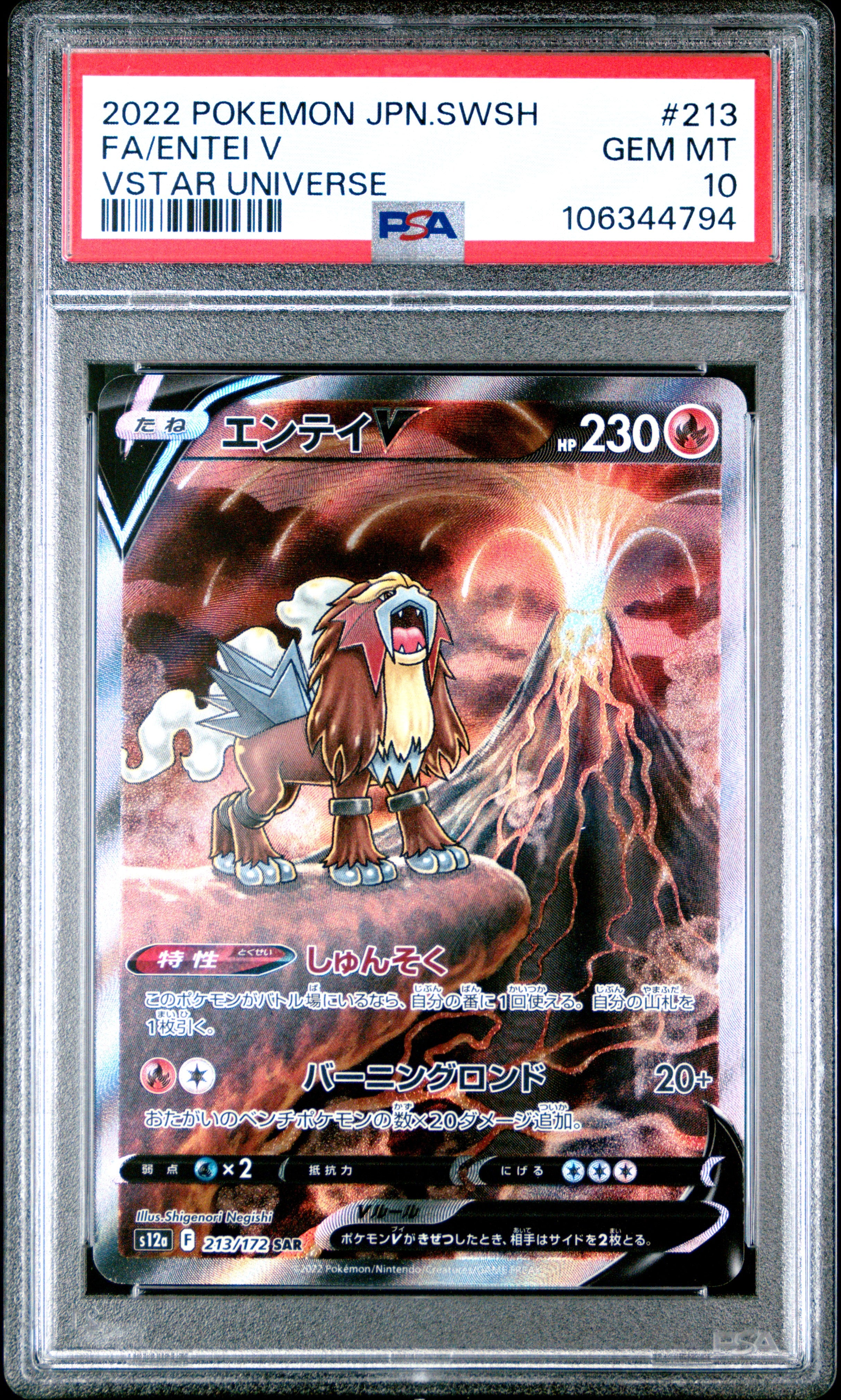 ENTEI V 213/172 PSA 10 POKEMON SWORD & SHIELD VSTAR UNIVERSE 2022 JAPANESE
