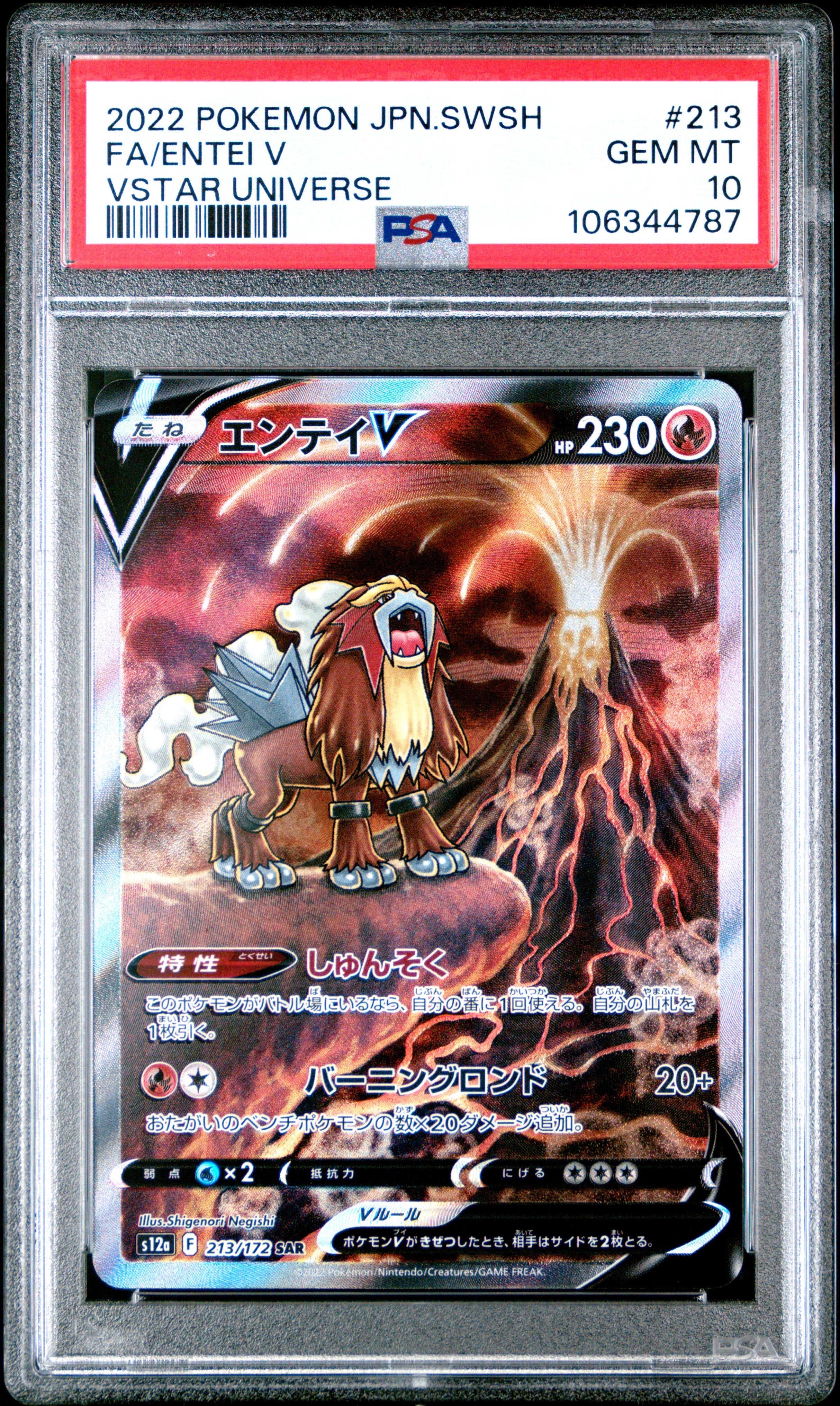 ENTEI V 213/172 PSA 10 POKEMON SWORD & SHIELD VSTAR UNIVERSE 2022 JAPANESE