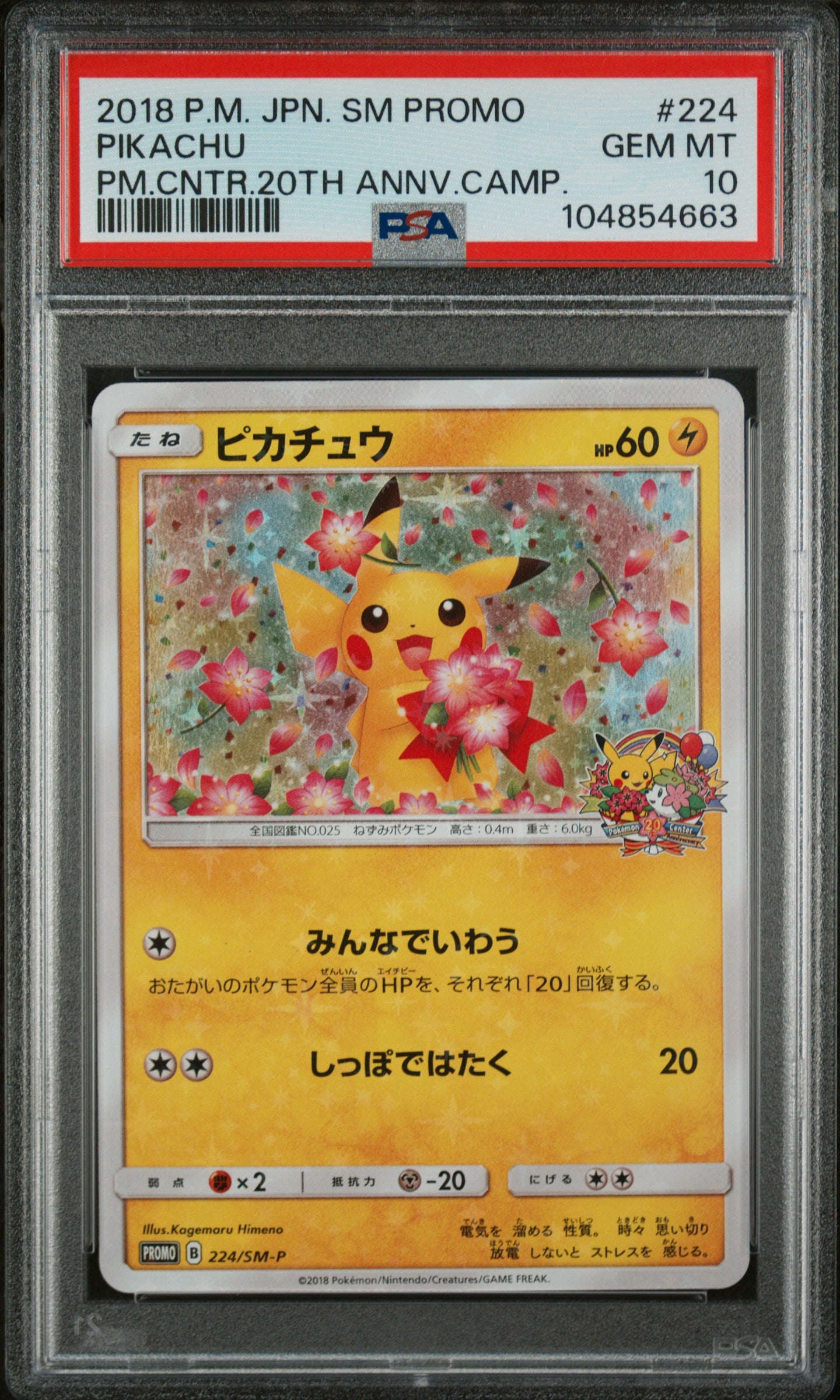 PIKACHU 224/SM-P PSA 10 POKEMON SM PROMO 2018 JAPANESE 20TH ANNIVERSARY