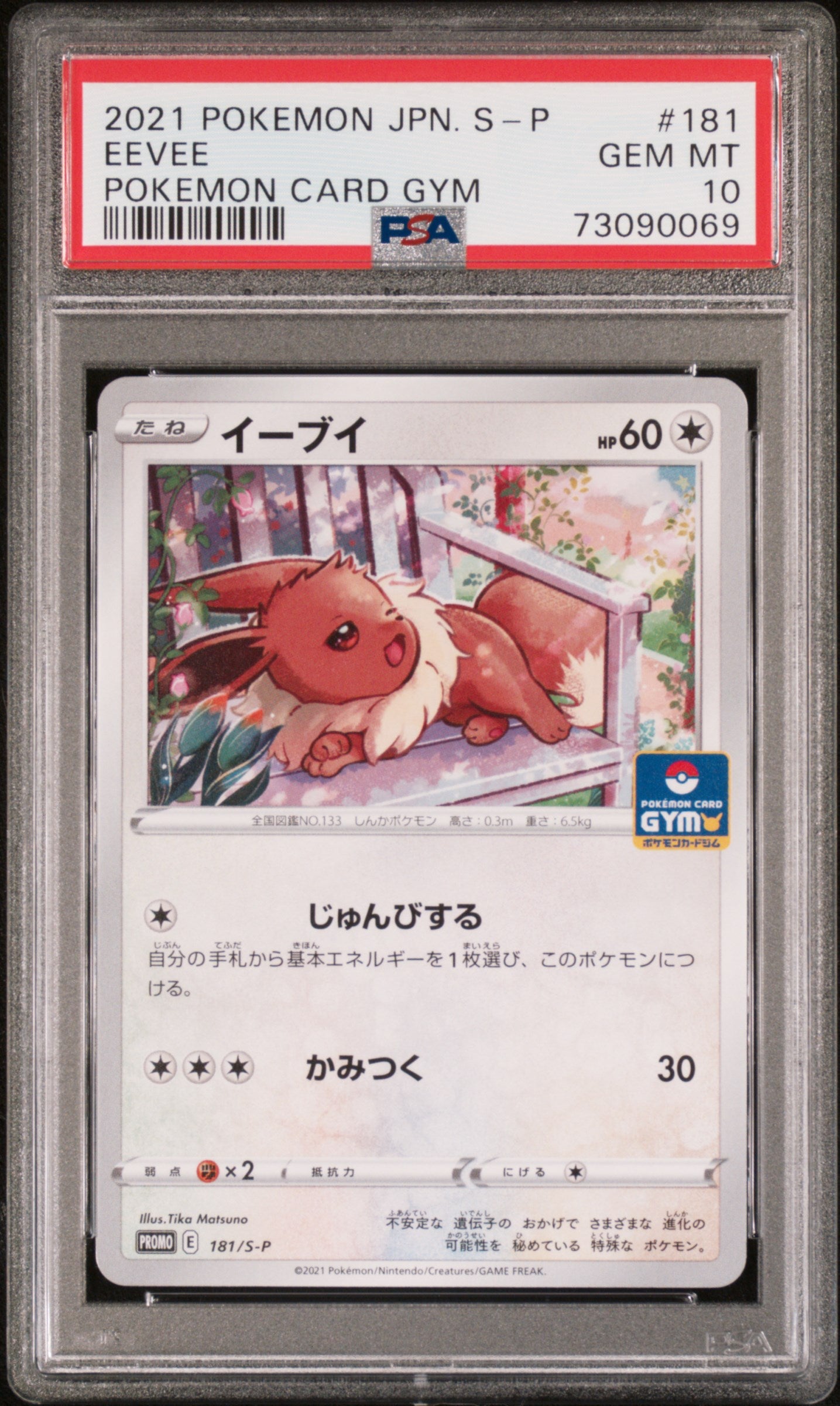 EEVEE 181 PSA 10 POKEMON S PROMO 2021 JAPANESE CARD GYM