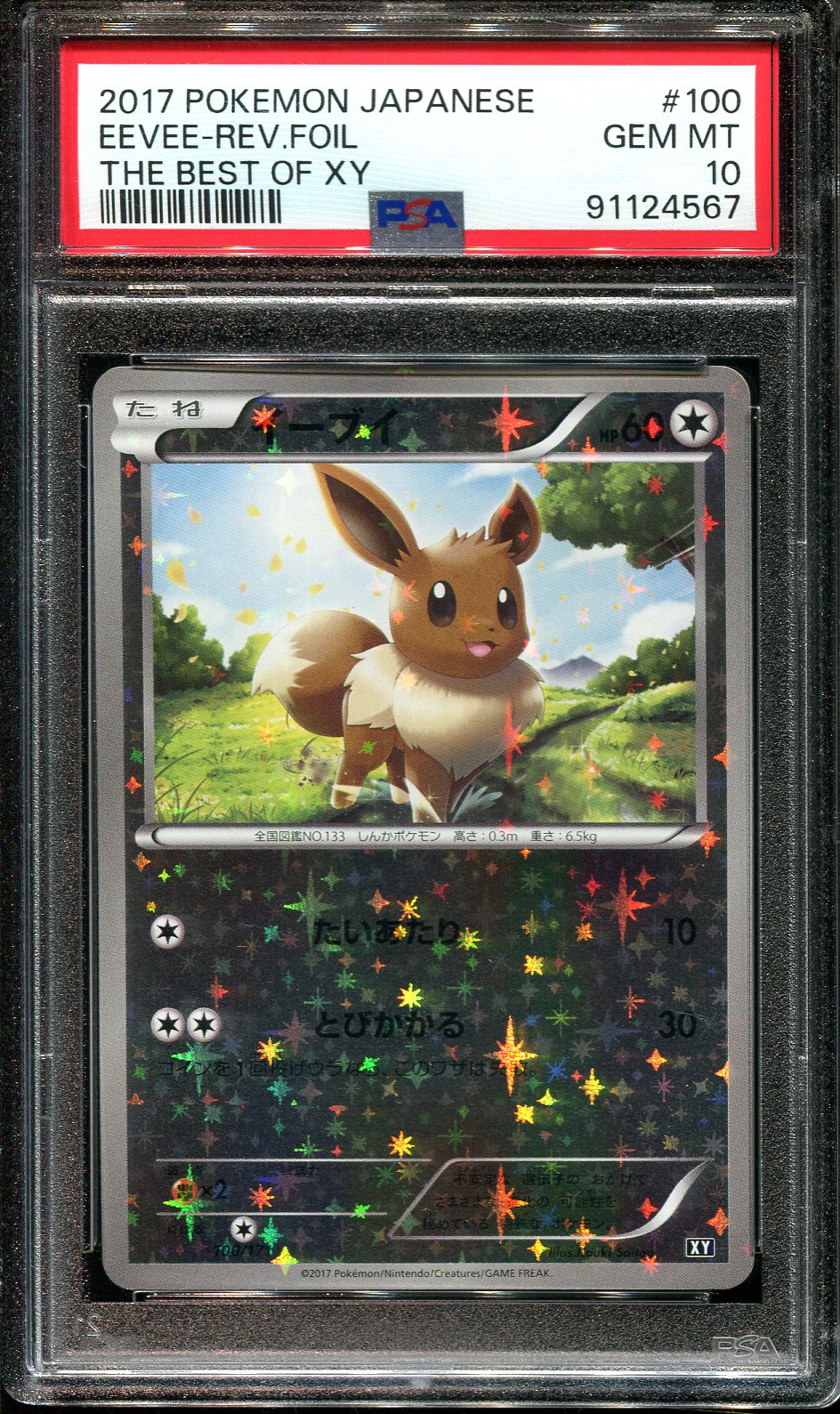 EEVEE 100/171 PSA 10 POKEMON THE BEST OF XY JAPANESE REVERSE HOLO