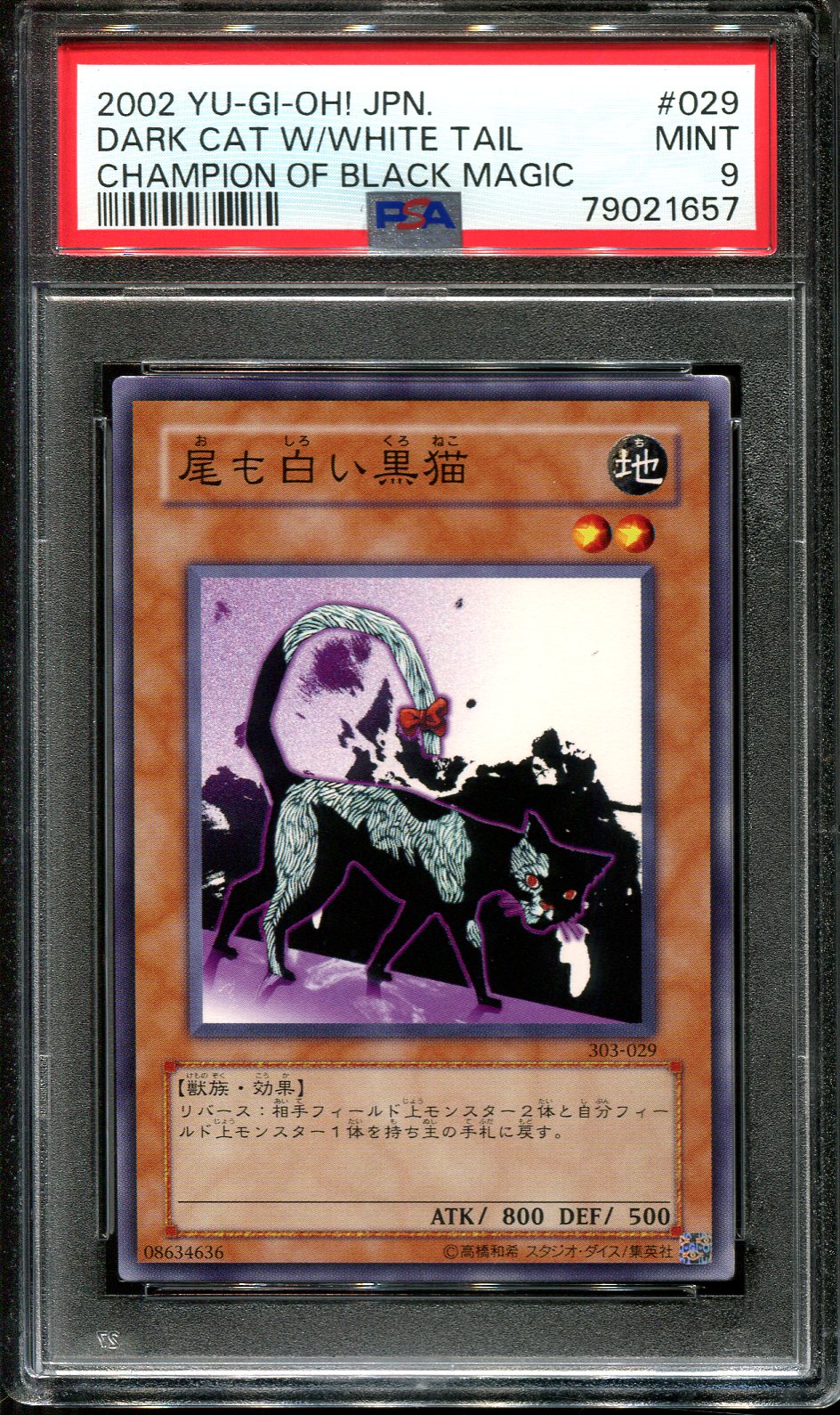 YUGIOH - PSA 9 - DARK CAT WITH WHITE TAIL - 303-029 - CHAMPION OF BLACK MAGIC JAPANESE OCG