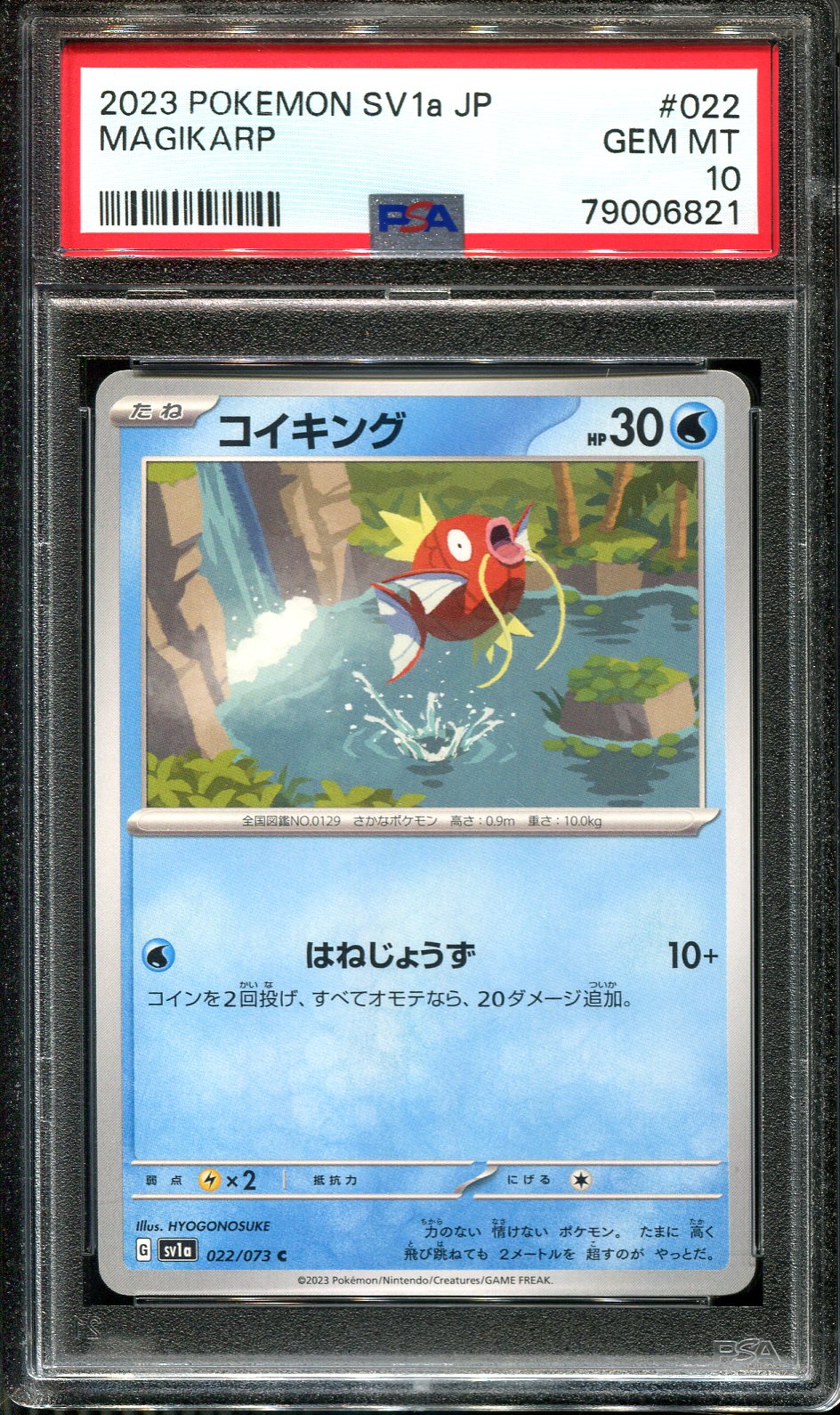 MAGIKARP 022/073 PSA 10 POKEMON SCARLET VIOLET SV1A POKEMON JAPANESE