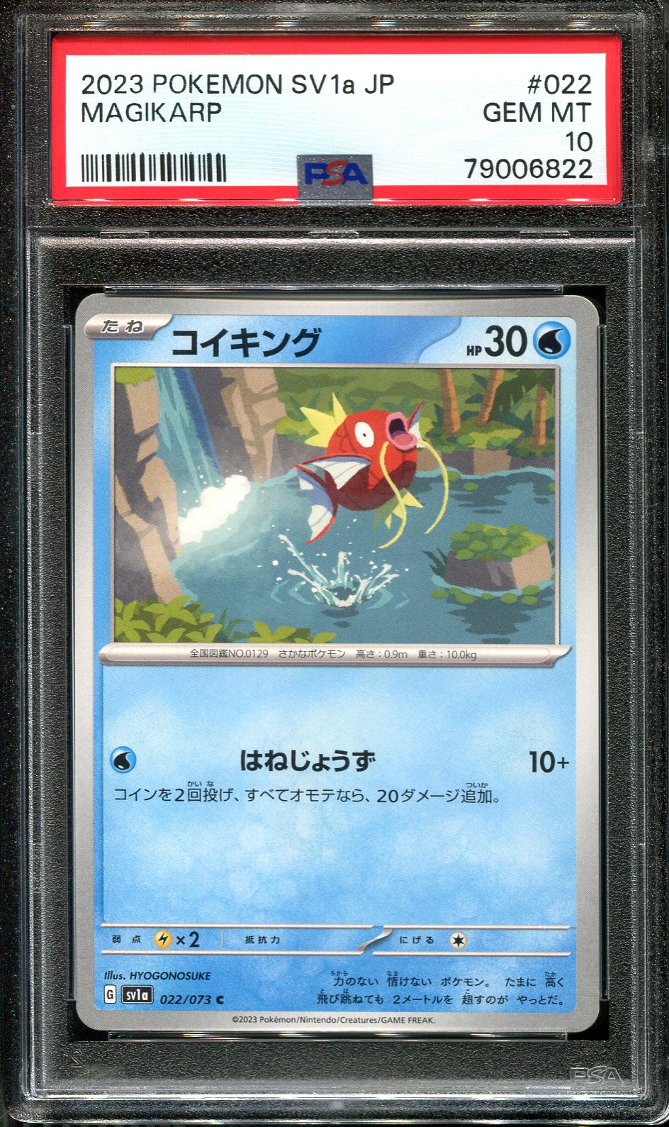 MAGIKARP 022/073 PSA 10 POKEMON SCARLET VIOLET SV1A POKEMON JAPANESE