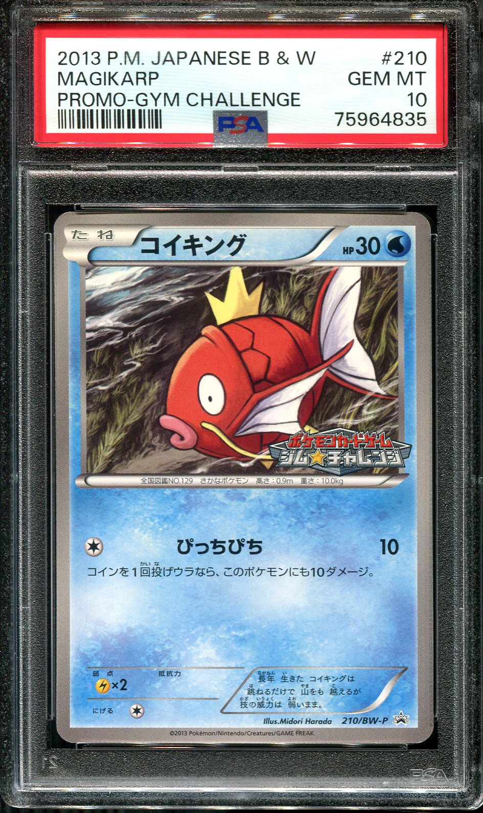 MAGIKARP 210/BW-P PSA 10 POKEMON PROMO GYM CHALLENGE JAPANESE