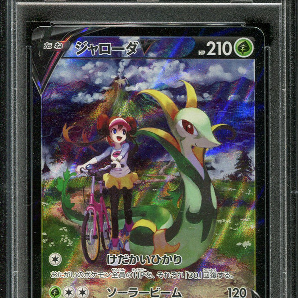 Japanese Pokemon Serperior V deals Rosa CSR 084/068 s11a Incandescent Arcana