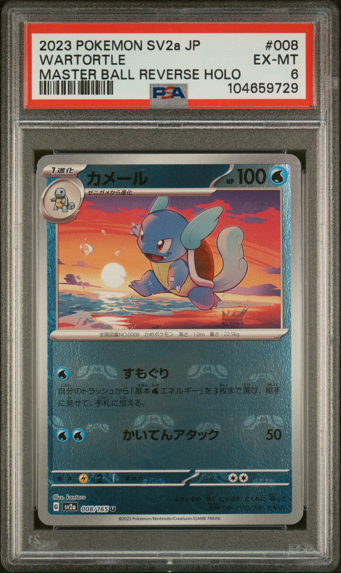 WARTORTLE 008/165 PSA 6 POKEMON SV2A-POKEMON 151 2023 JAPANESE MASTER BALL REVERSE HOLO