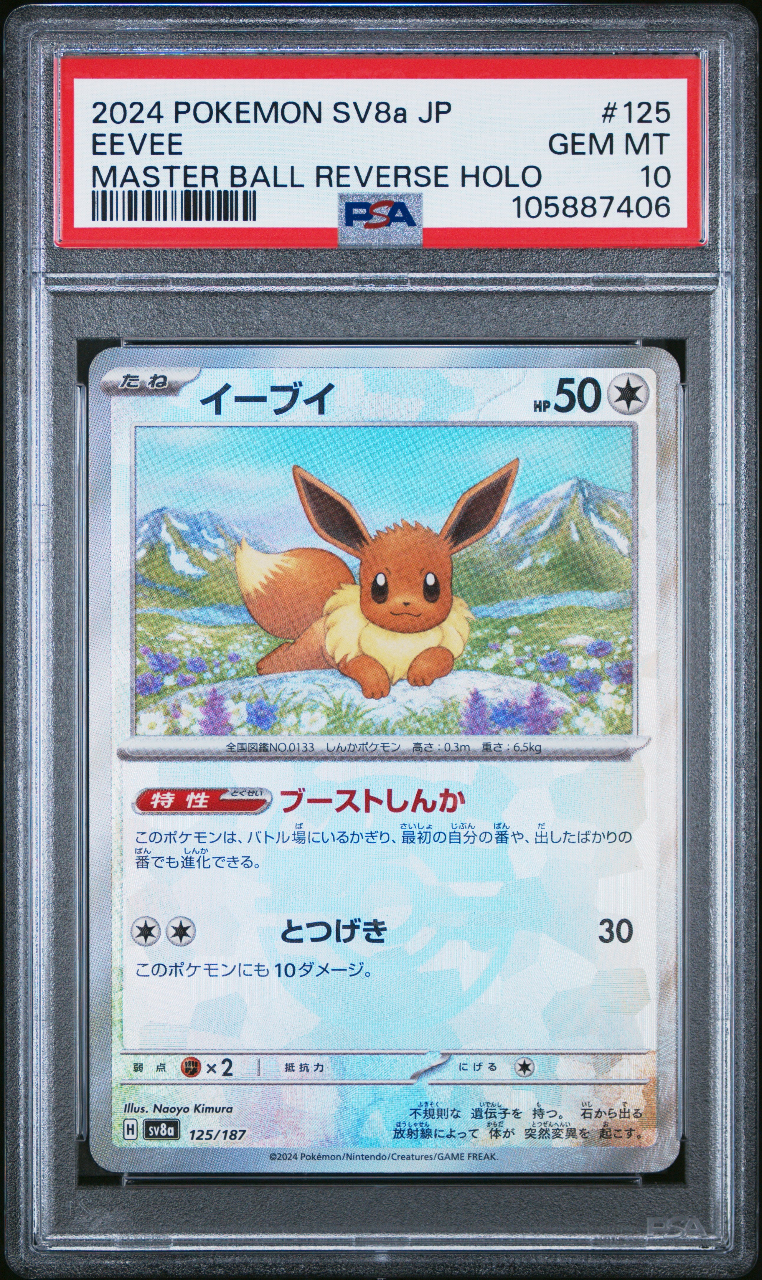 EEVEE 125/187 PSA 10 POKEMON SV8A TERASTAL FESTIVAL EX 2024 JAPANESE MASTER BALL REVERSE HOLO
