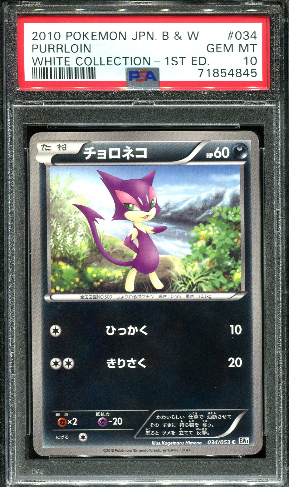 PURRLOIN 034/053 PSA 10 POKEMON WHITE COLLECTION JAPANESE