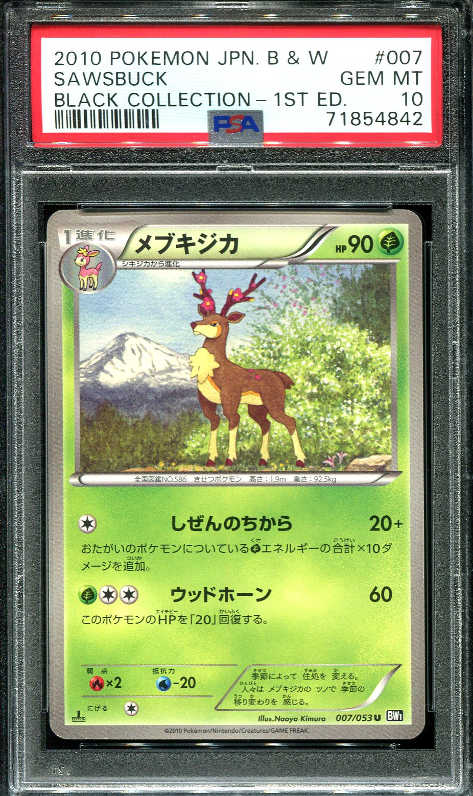 SAWSBUCK 007/053 PSA 10 POKEMON BLACK COLLECTION BW1 JAPANESE